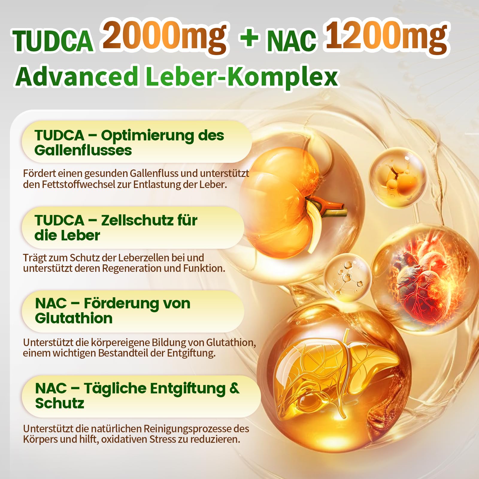 VivoNu TUDCA 2000mg & NAC 1200mg Kapseln Hochdosiert, 180 vegane Kapseln, Zellschutz & Vitalität, Fördert Stoffwechsel & Verdauung,Unterstützt gesunde Zellalterung, Natürliche Antioxidantien