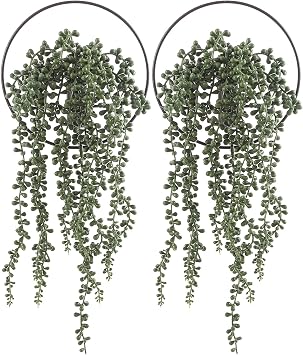 Boho Wall Decor, Wall-Mounted Metal Art, Hanging Pampas Planter | Living Room, Bedroom, Bathroom, Dining room, Artificial Greenery Planter Wall Vase Display 2 Pack Black Succulent