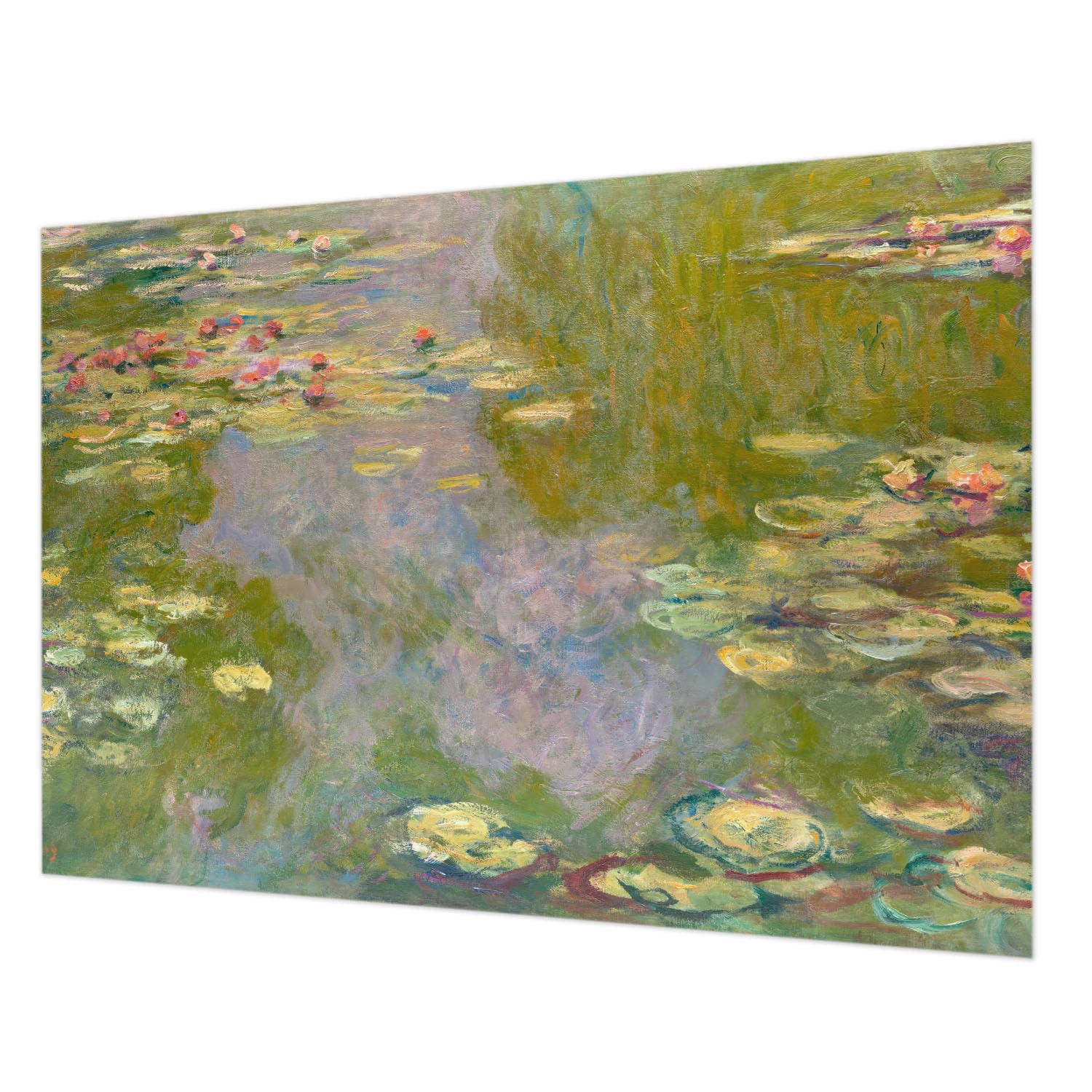Papier peint intissé nénuphars déco murale salon chambre 208x146 cm lavable Tulup