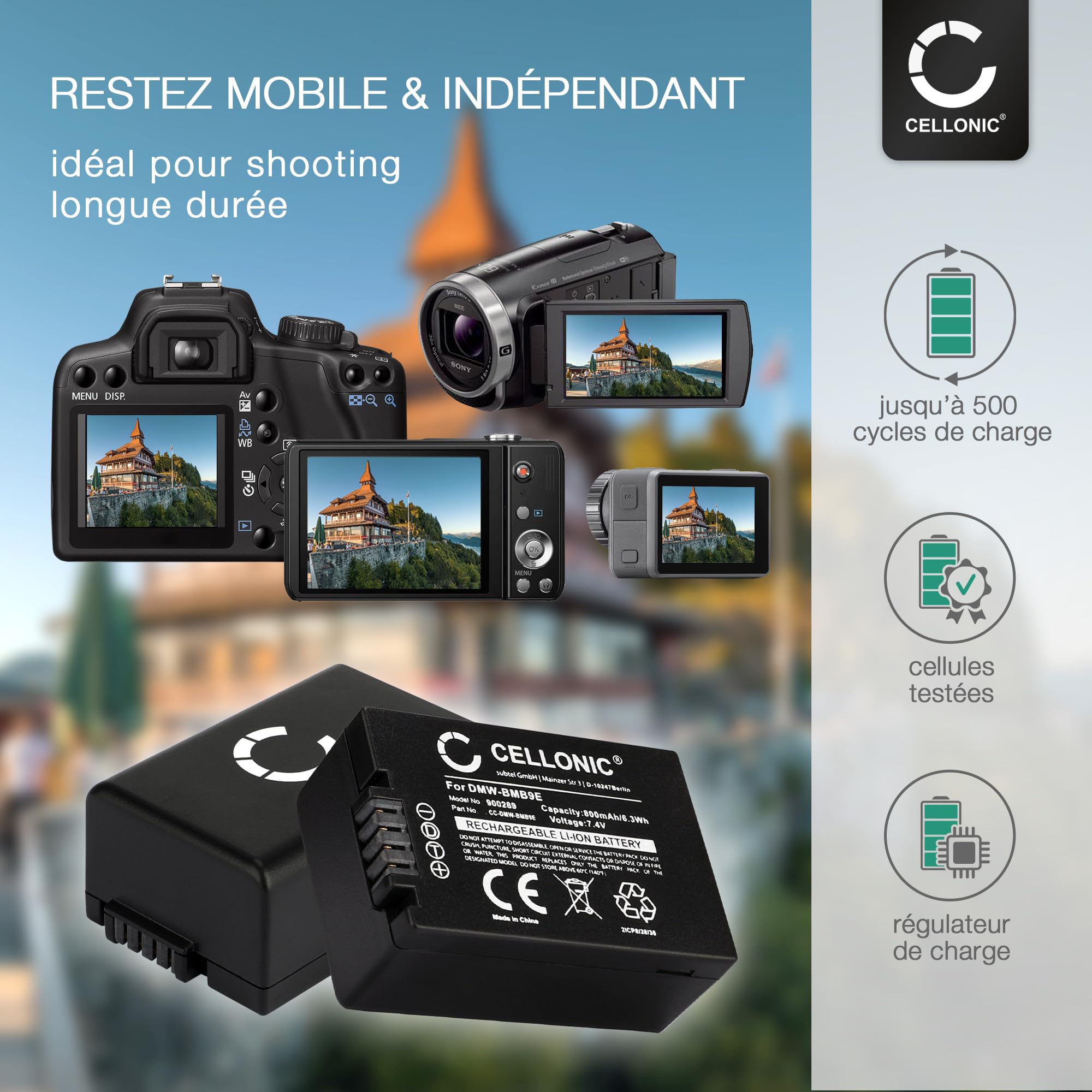 CELLONIC 2X Batterie Compatible avec Panasonic Lumix DC-FZ81, DC-FZ82 | 2x, (800mAh-7.4V-Lithium-Ionen), Kamera Akku