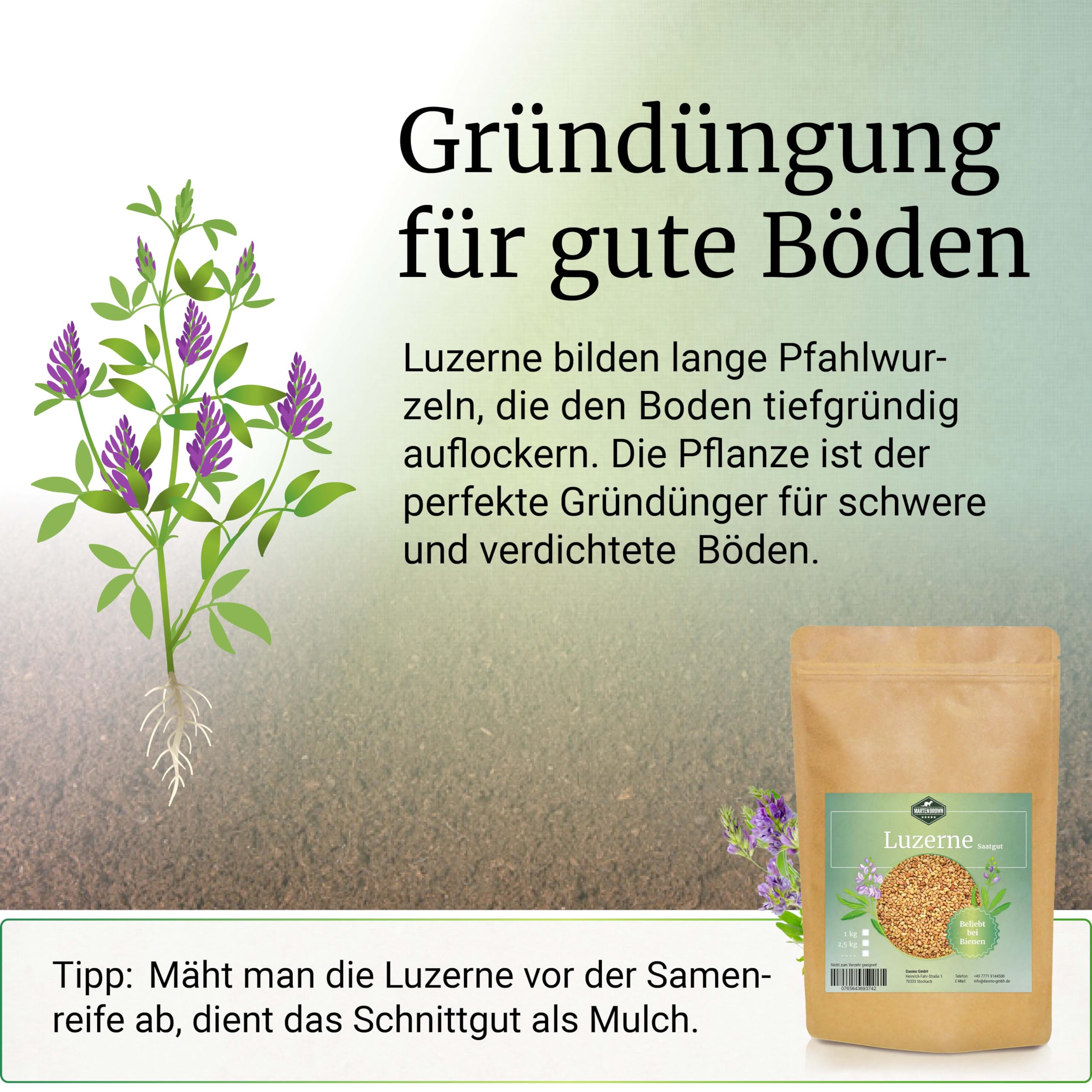 knstliche ngel selber krzen Doonails - Tip Cutter
