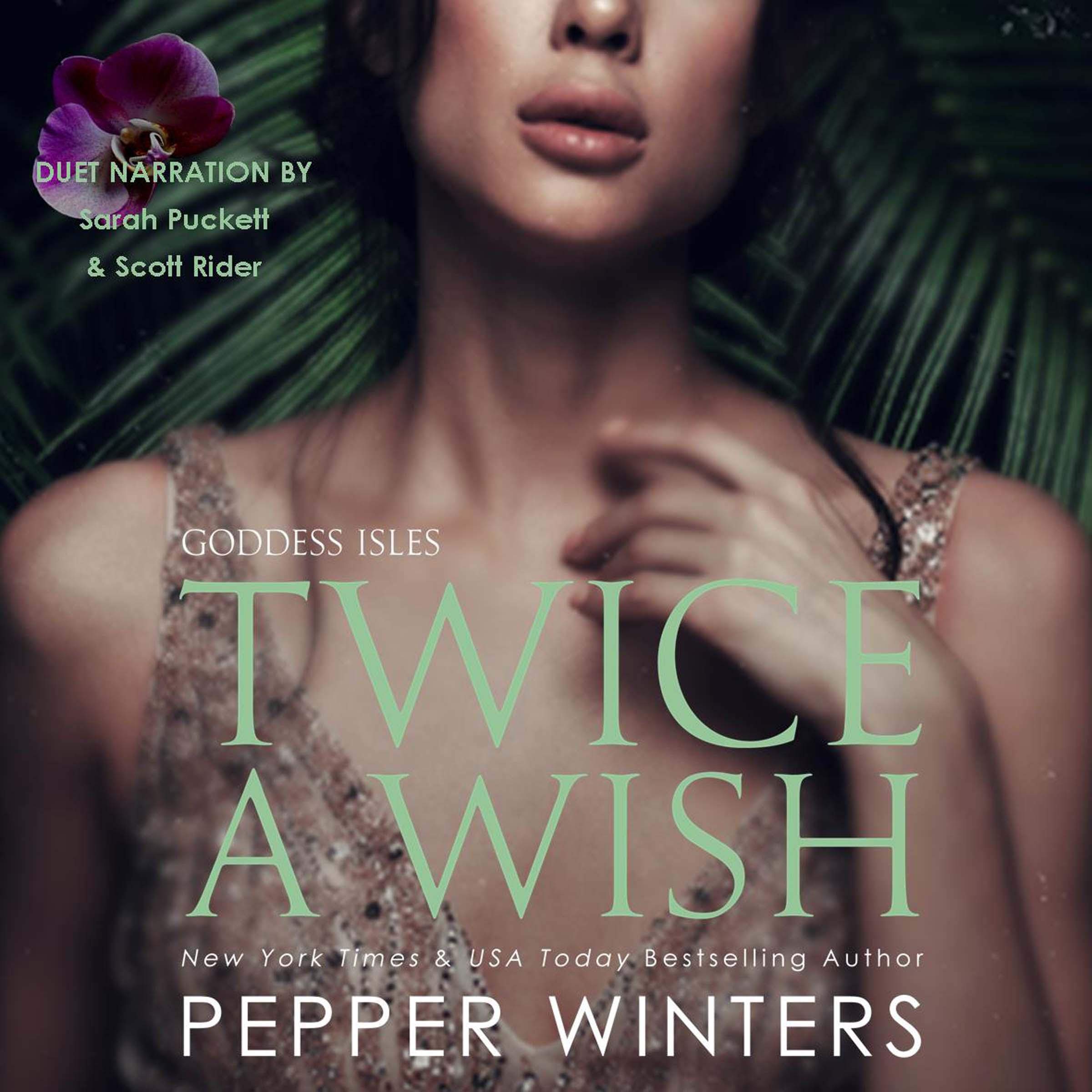 Cover art for Twice a Wish