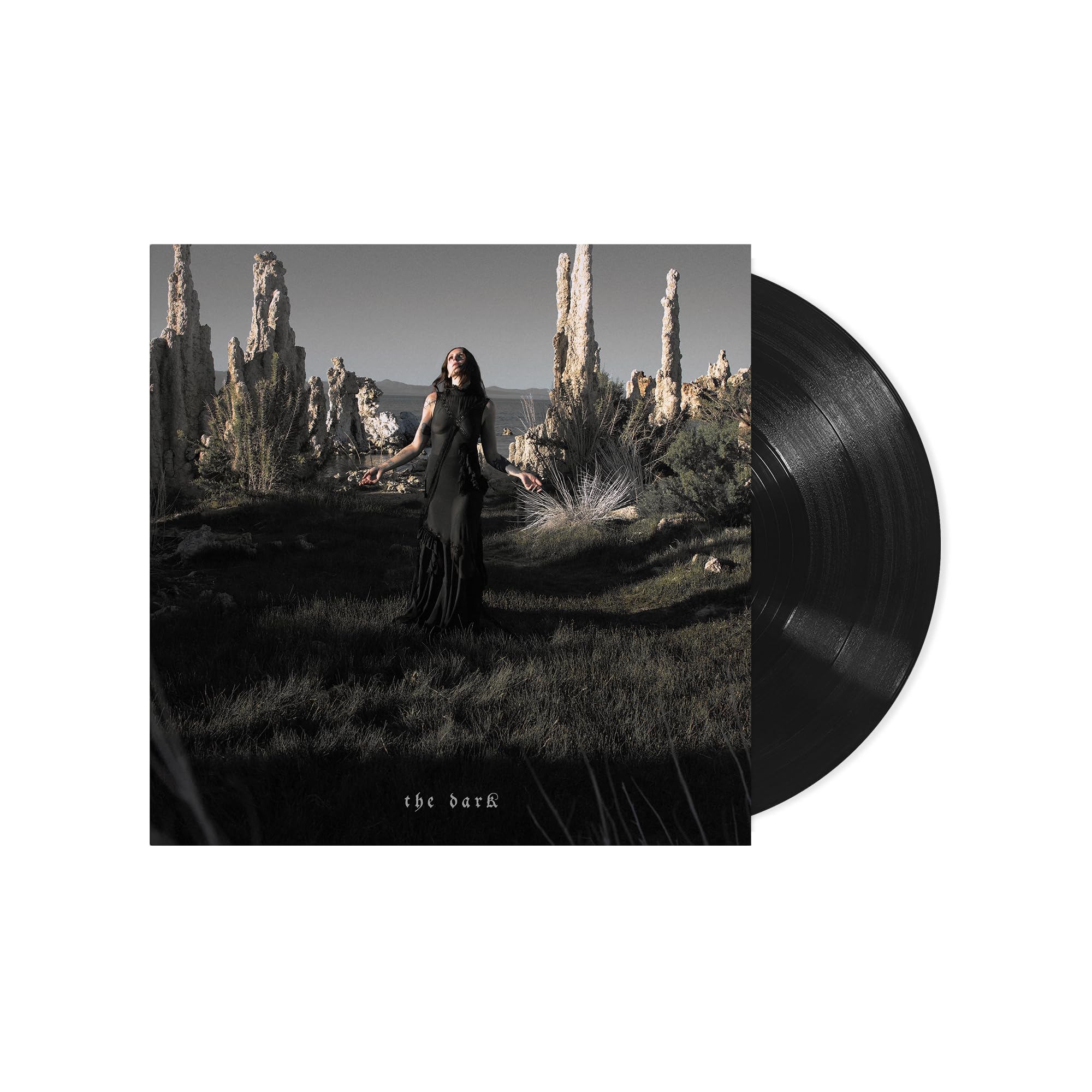 The Dark [VINYL]