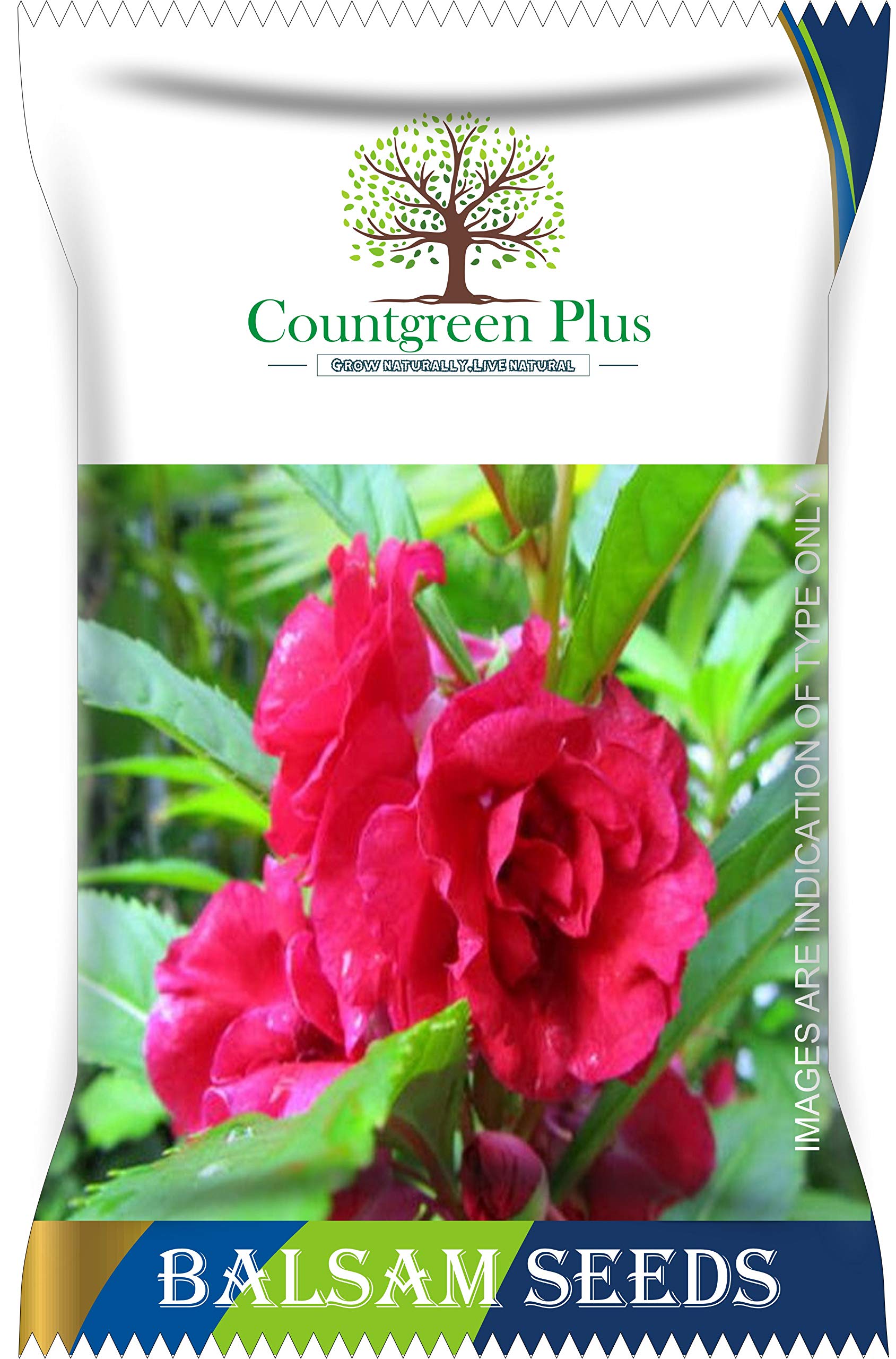 Countgreen Plus Balsam Mix Flower 200 Seeds | Fragrant Flowering Seeds | Natural and Organic Seeds for Indoor Home Decor | Sow and Grow Fresh Healthy Seed in Your Garden Perfect for Home & Terrace Gardening High Germination Seeds (B08ZXZ88KT) Amazon Price History, Amazon Price Tracker