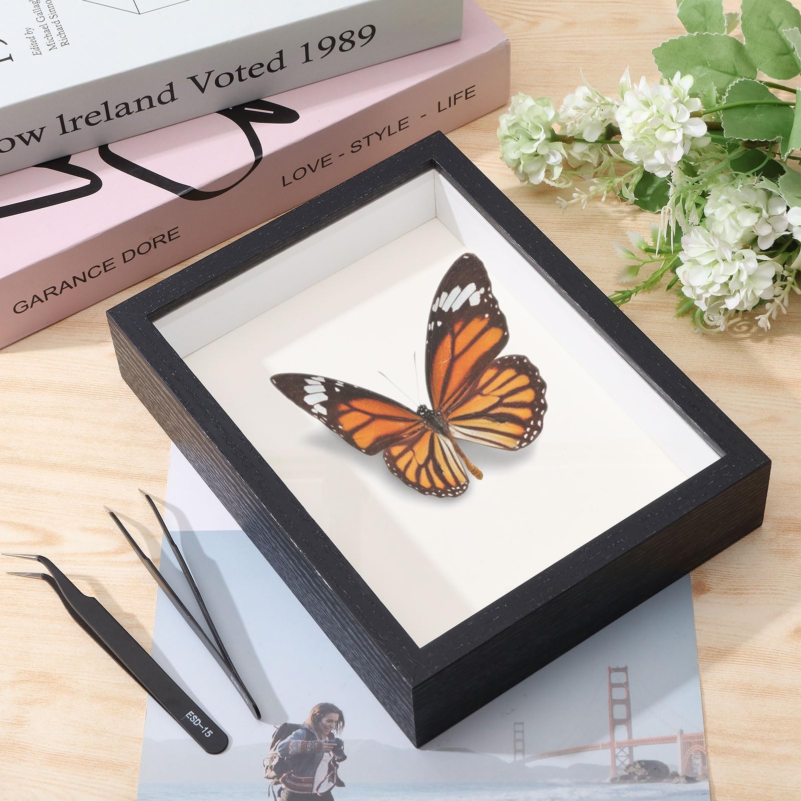 GLOBLELAND 1 Insektenschaukasten Zur Wandmontage Insektensammelbox Set Für Schmetterlingsproben Mit 1 Eva Schaumstoffplatten 2 gebogenen Pinzetten Aus Edelstahl Und 150 Insektennadeln