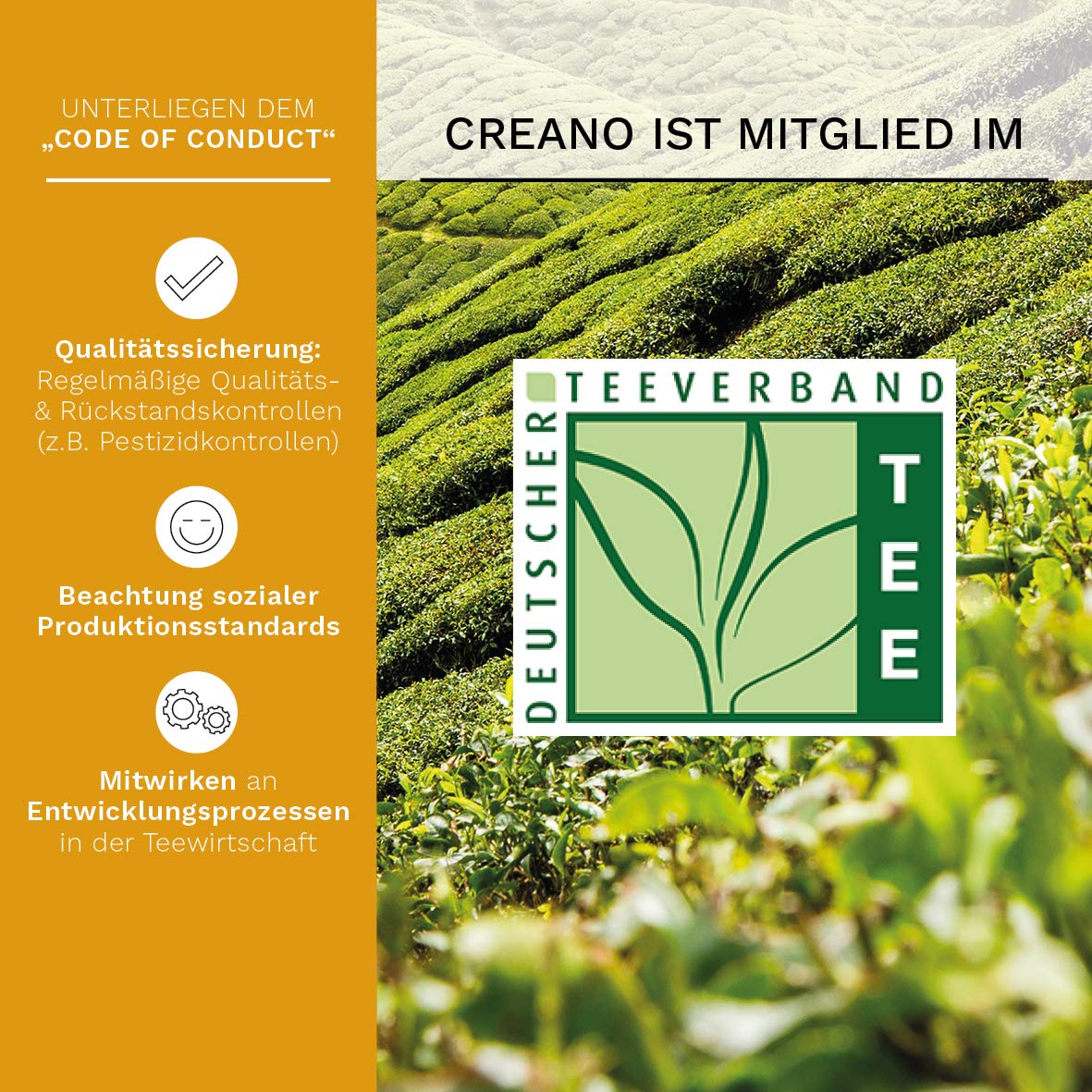 Creano ErblühTeelini Teeblumen Geschenkset mit Teeglas und 8 Teeblumen im Tassenformat, Weißer Tee, Geschenk zu Weihnachten
