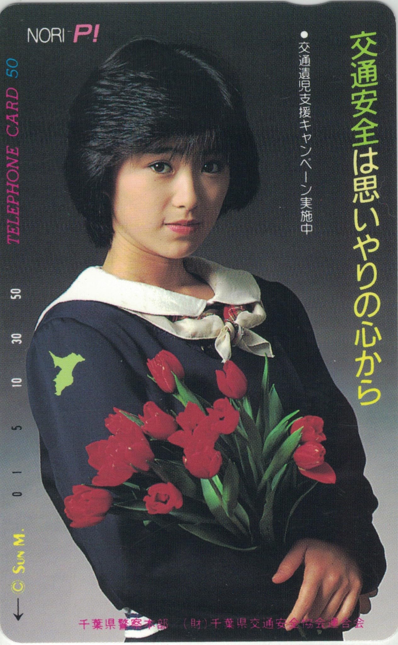 テレホンカード アイドル テレカ 酒井法子 七島信用組合 S0001-0301