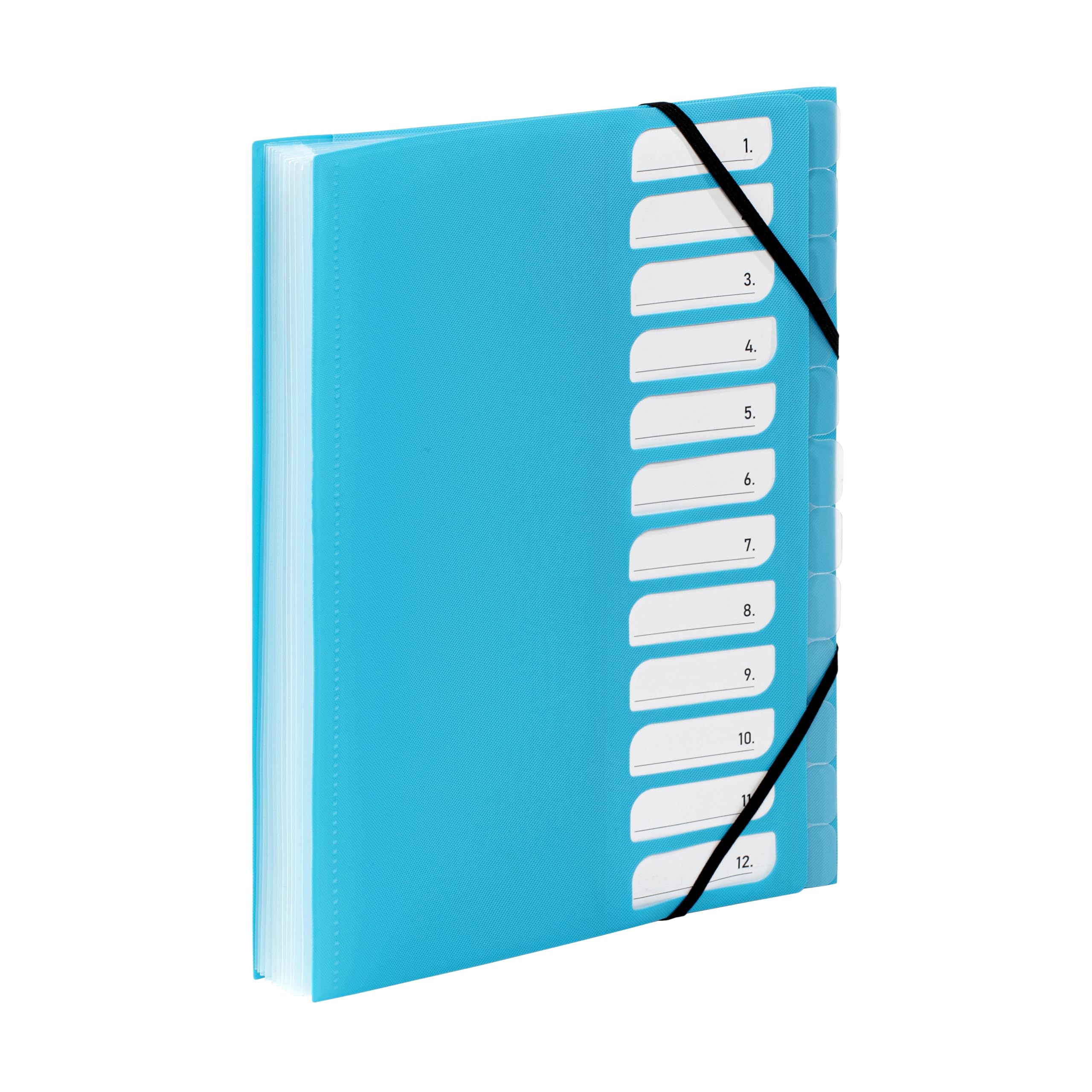 Viquel - A4 Document Folder with 12 compartments - Expandable Desk Organiser - A4 Document Holder with Index - Elastic Closure - FEEL'EASY Range - Turquoise Blue