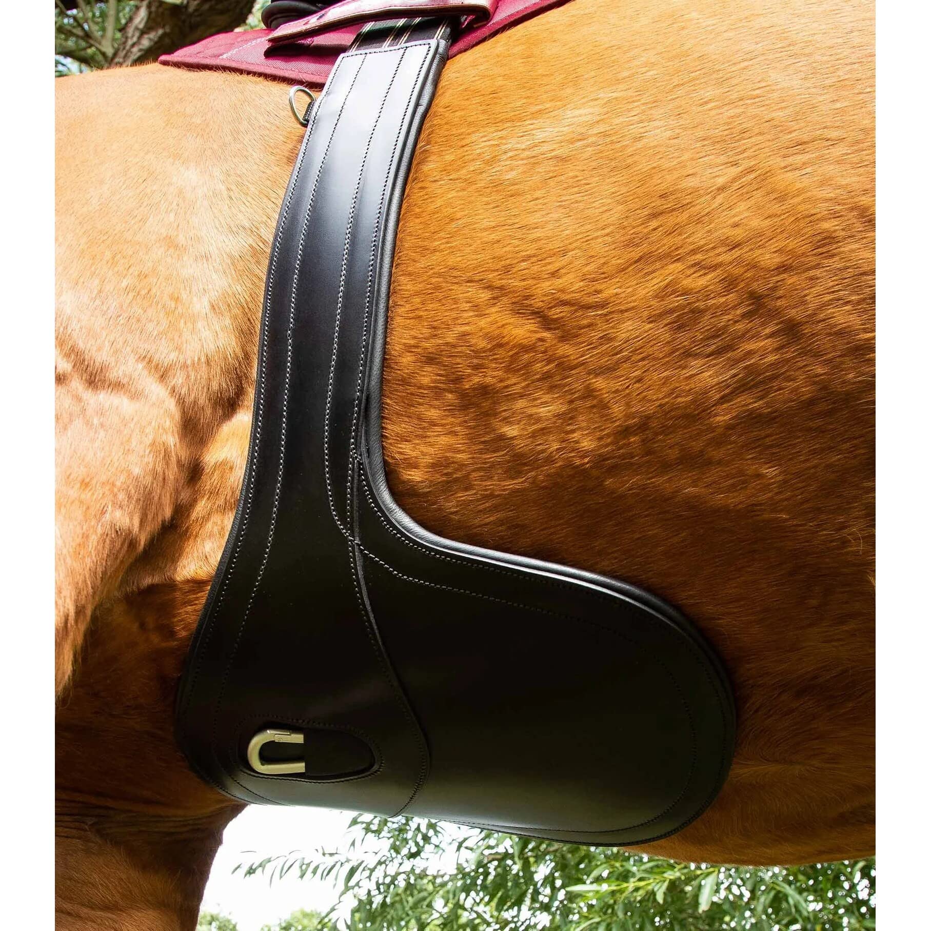 Premier Equine Cincha de equitación anatómica de Cuero Lizzano
