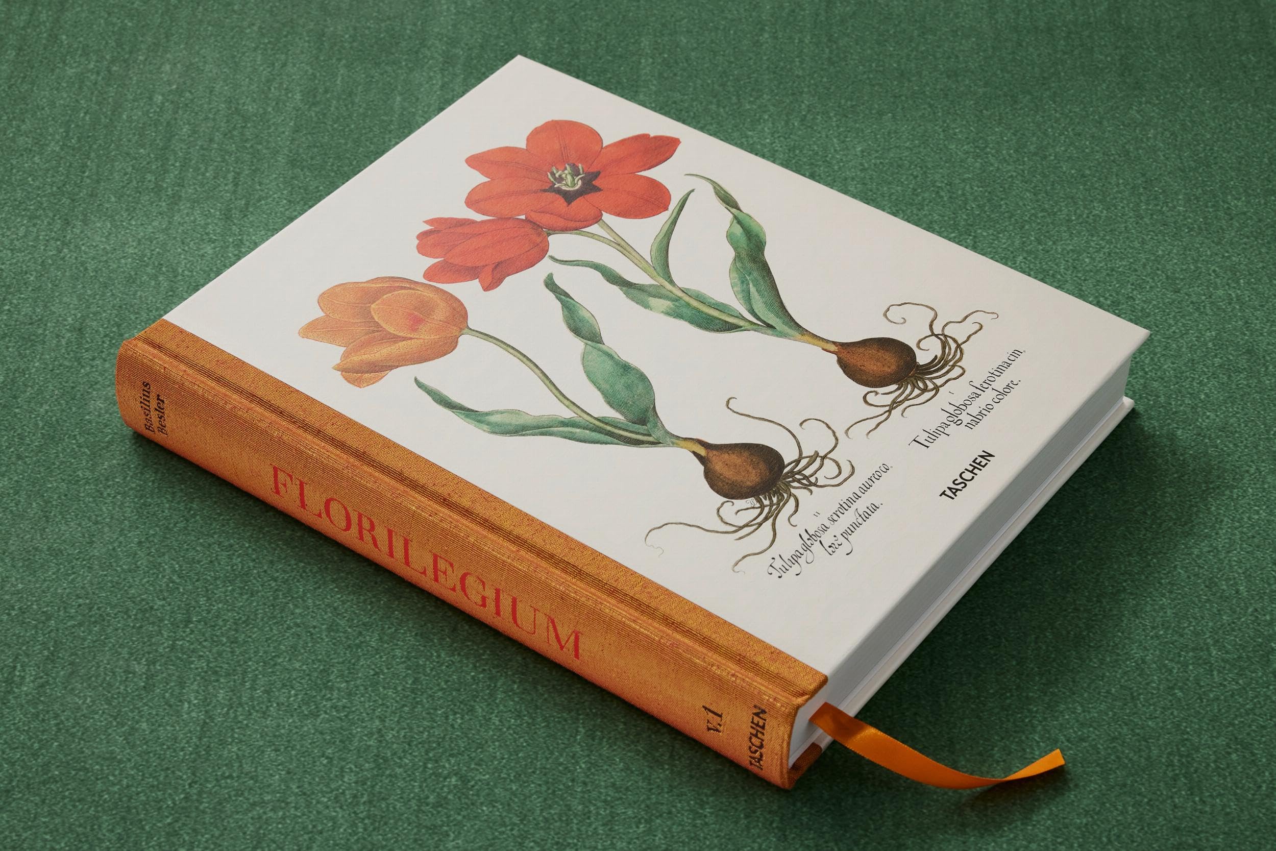 Basilius Besler: The Garden at Eichstätt: 1-3
