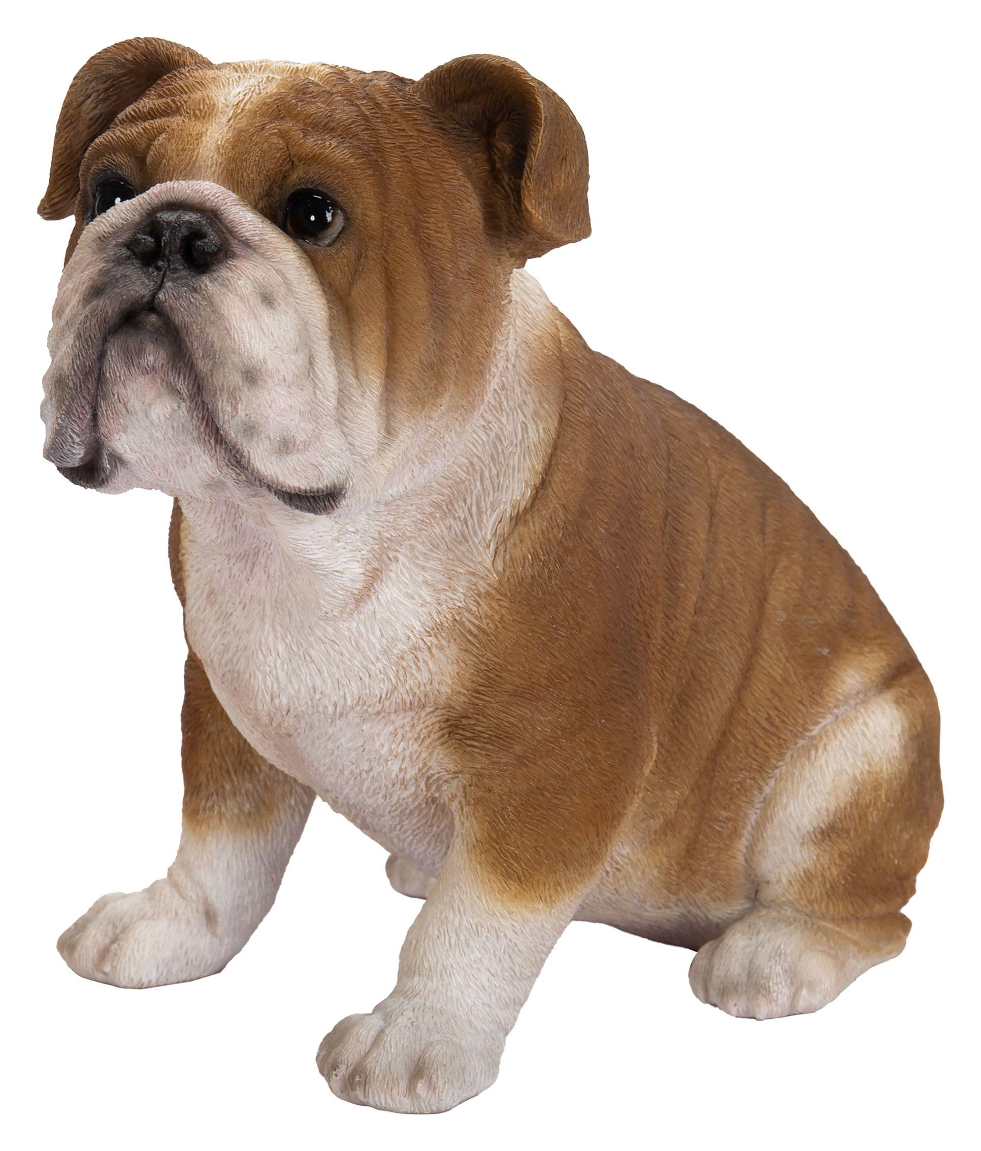 Vivid Arts - Bulldog - XRL-BDOG-D