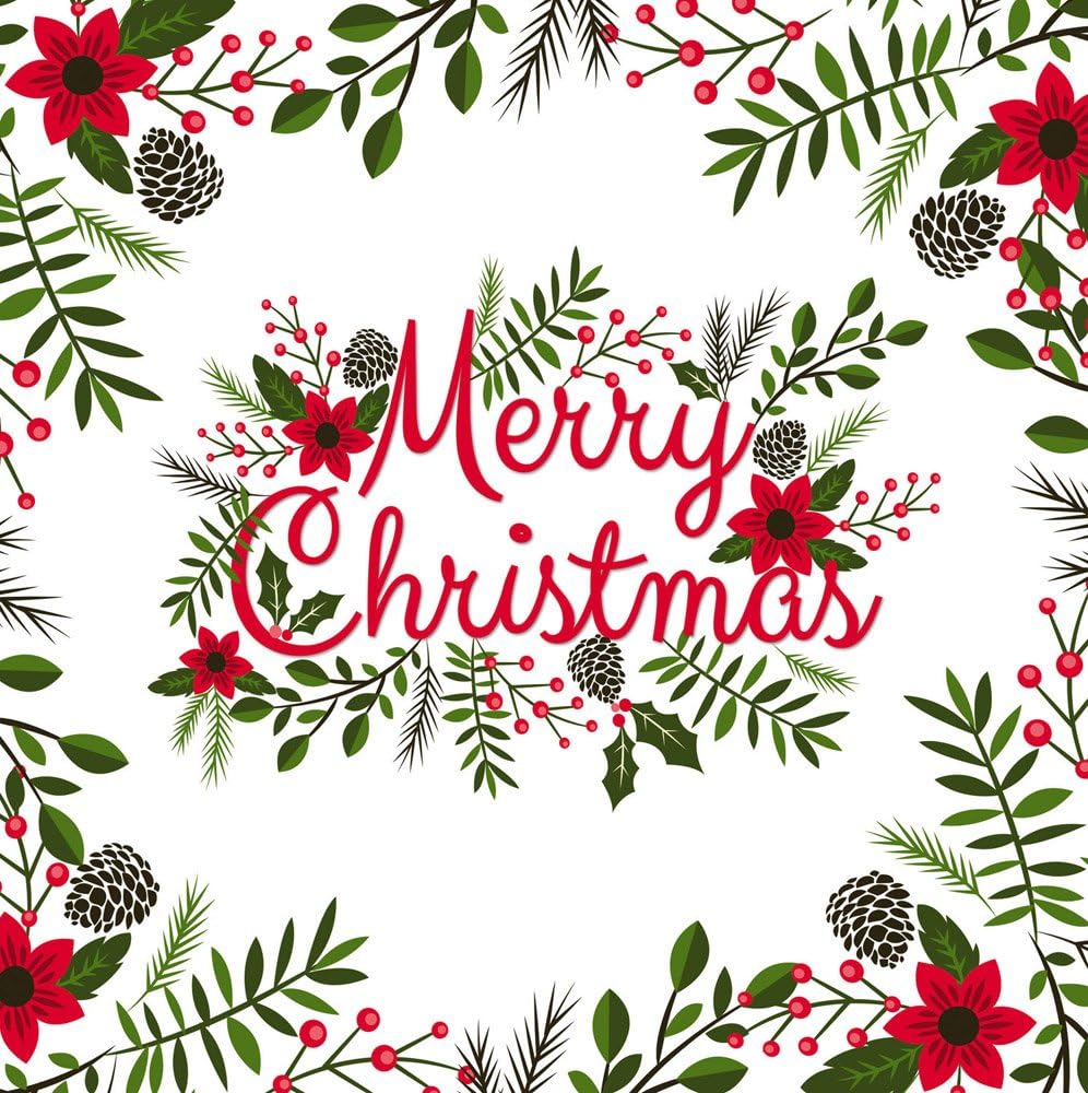 Cypress Home Merry Christmas Cardinal Paper Lunch Napkin, 20 count