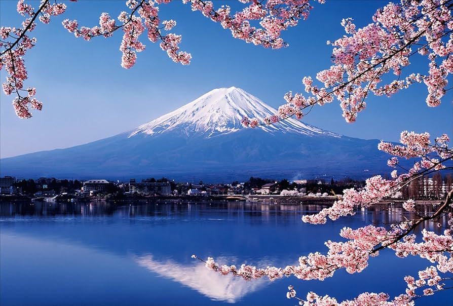 V（ブイ）　ポストカード 超初級者向け】ポケモンGOの始め方②ビビヨンとコレクレーを