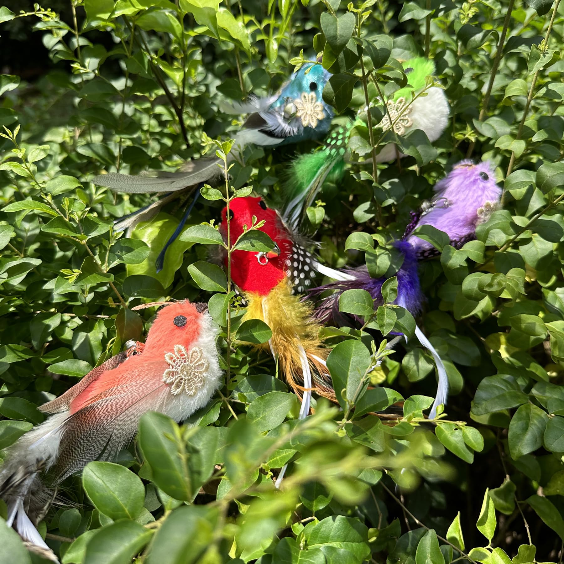 Recambios de varita de juguete de repuesto para gatos, 5 piezas de plumas naturales, plumas de pájaro y gato, plumas de repuesto para varita de gato