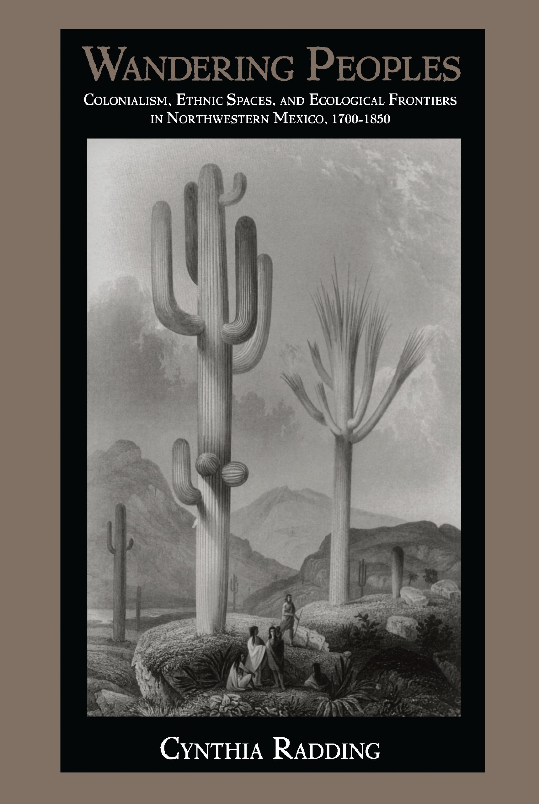 Wandering Peoples: Colonialism, Ethnic Spaces, and Ecological Frontiers in Northwestern Mexico, 1700–1850 (Latin America otherwise)
