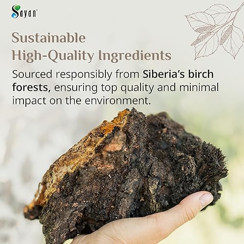Miniatura 5 de Sayan Siberian - Trozos de hongo chaga puro crudo con corteza superior negra, 8 onzas  7.87 oz, té antioxidante cosechado en la naturaleza prémium