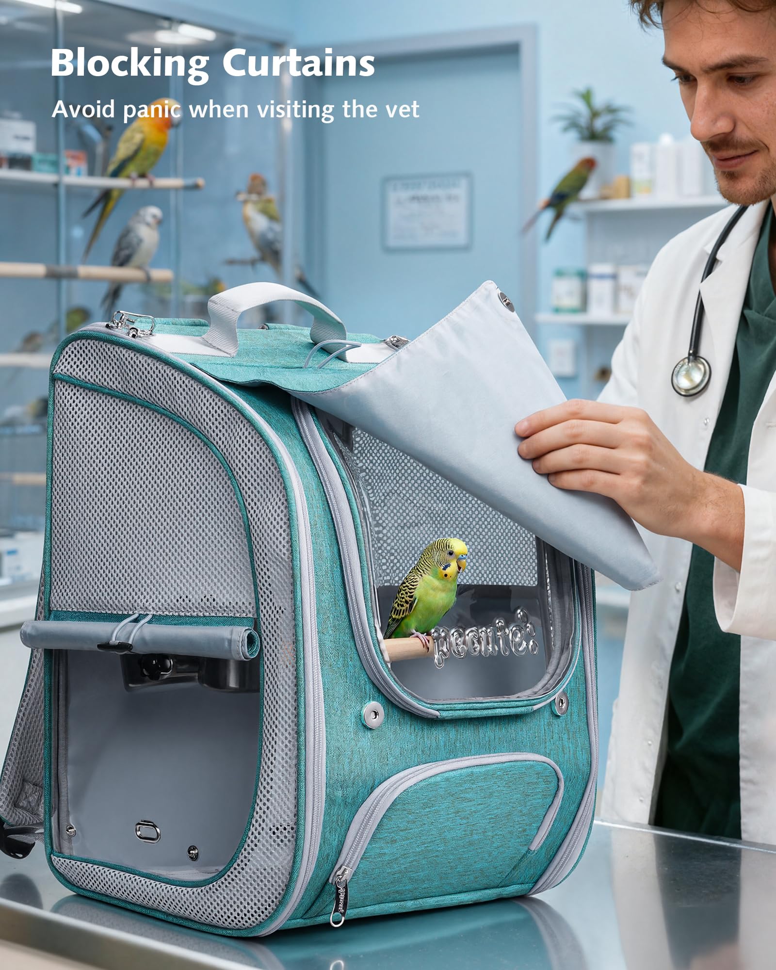 https://m.media-amazon.com/images/I/81N0hlvb+ZL.jpg
