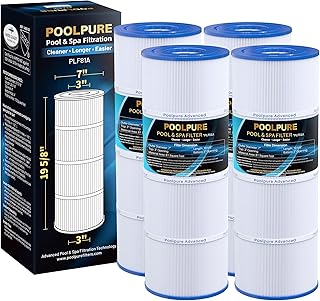 POOLPURE Replacement Filter for Hayward CX580XRE, PA81-PAK4, Unicel C-7483, Filbur FC-1225, FC-6425, Hayward SwimClear C3020, C3025, C3030, 4 X 81 sq. ft. Filter Cartridge