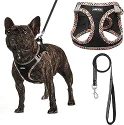 AMTOR Coleira Peitoral para Cachorros com Guia, Arnês Reflexivo Ajustável para Filhotes com Colete Acolchoado para Cães e Gatos, XS (Preto Amarelo)