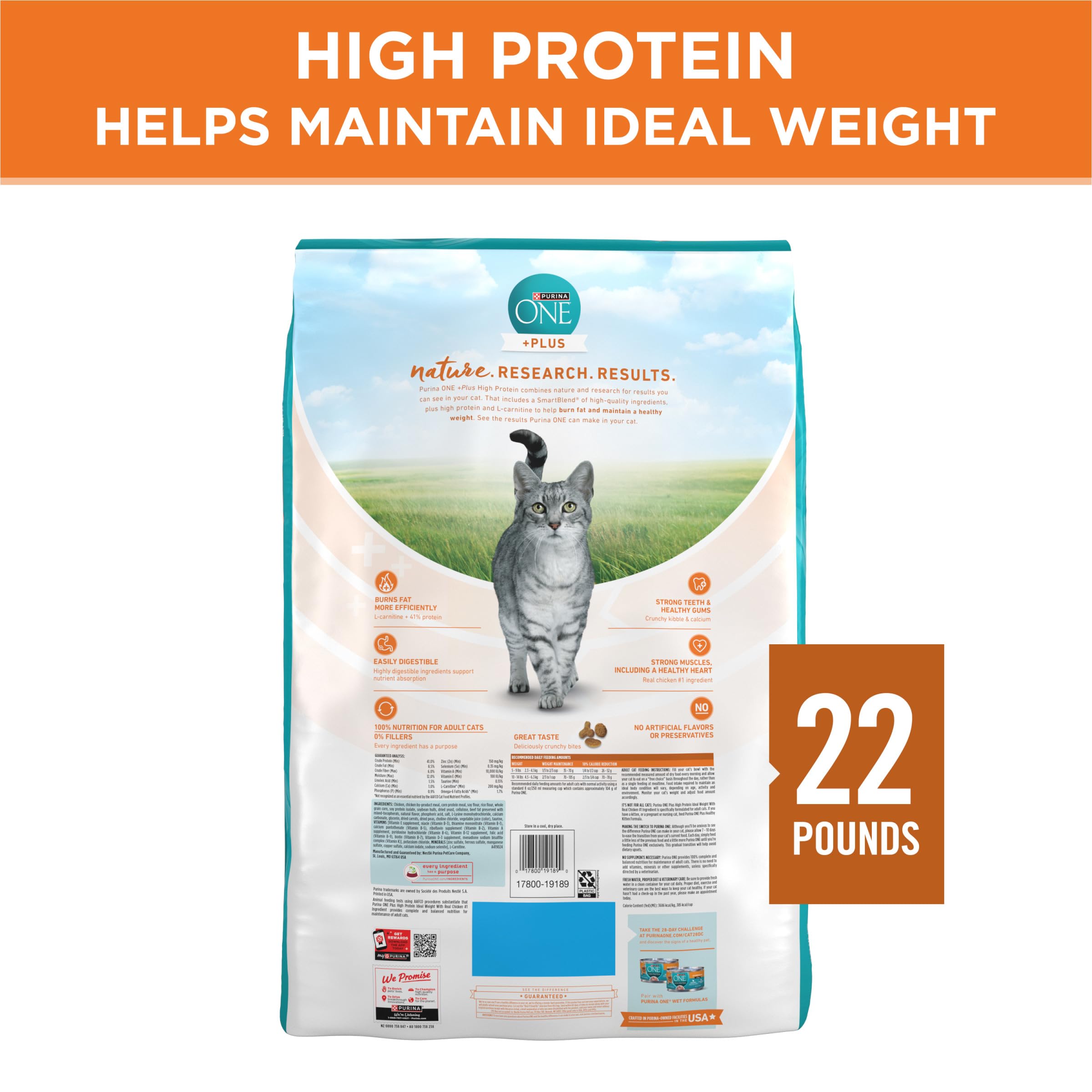 Amazon.com: Purina ONE: Cat Food