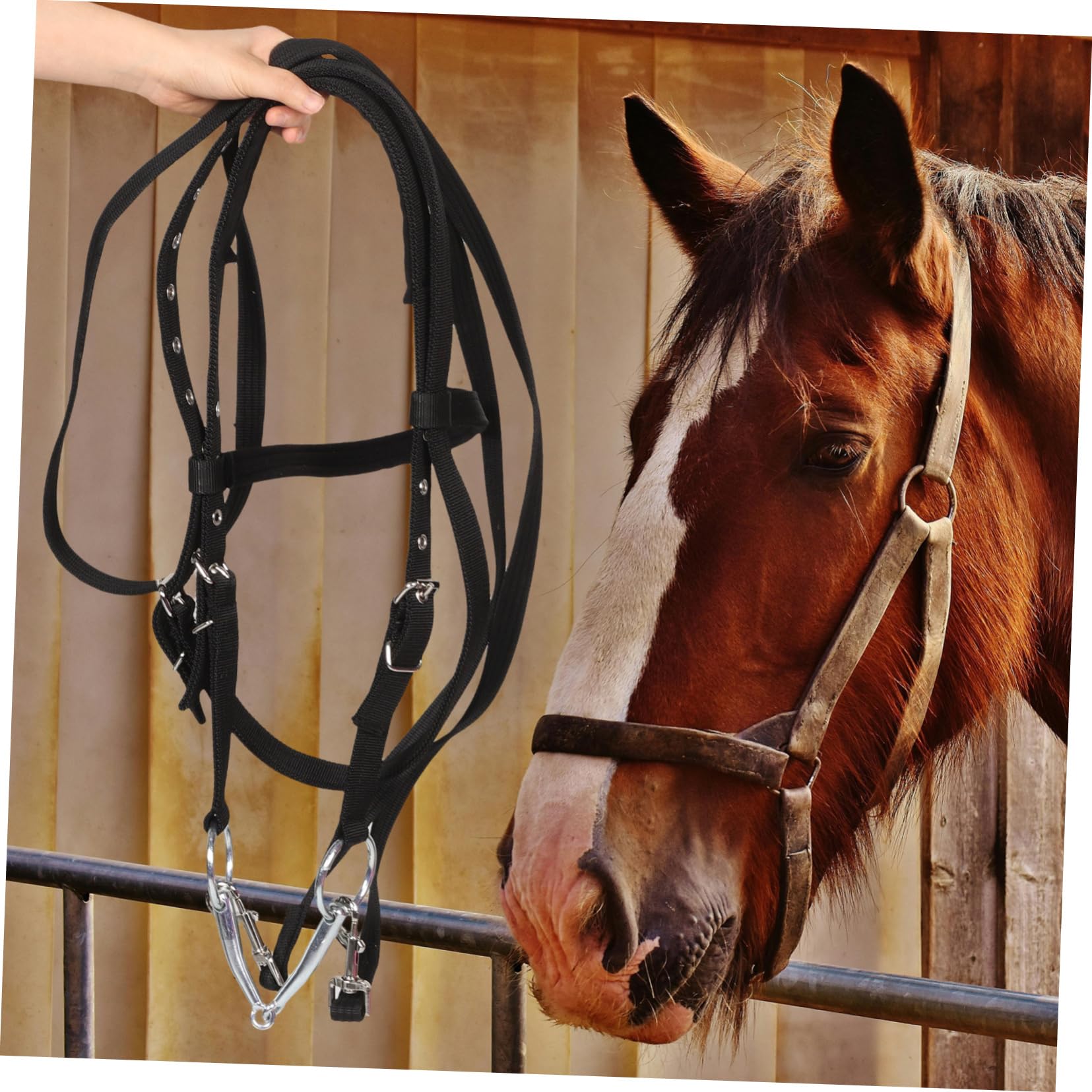 Redini Equestri Corda per Corda da Tiro Briglia da Addestramento Briglie in Corda per Addestramento Accessori per Stalle Accessori per Addestramento