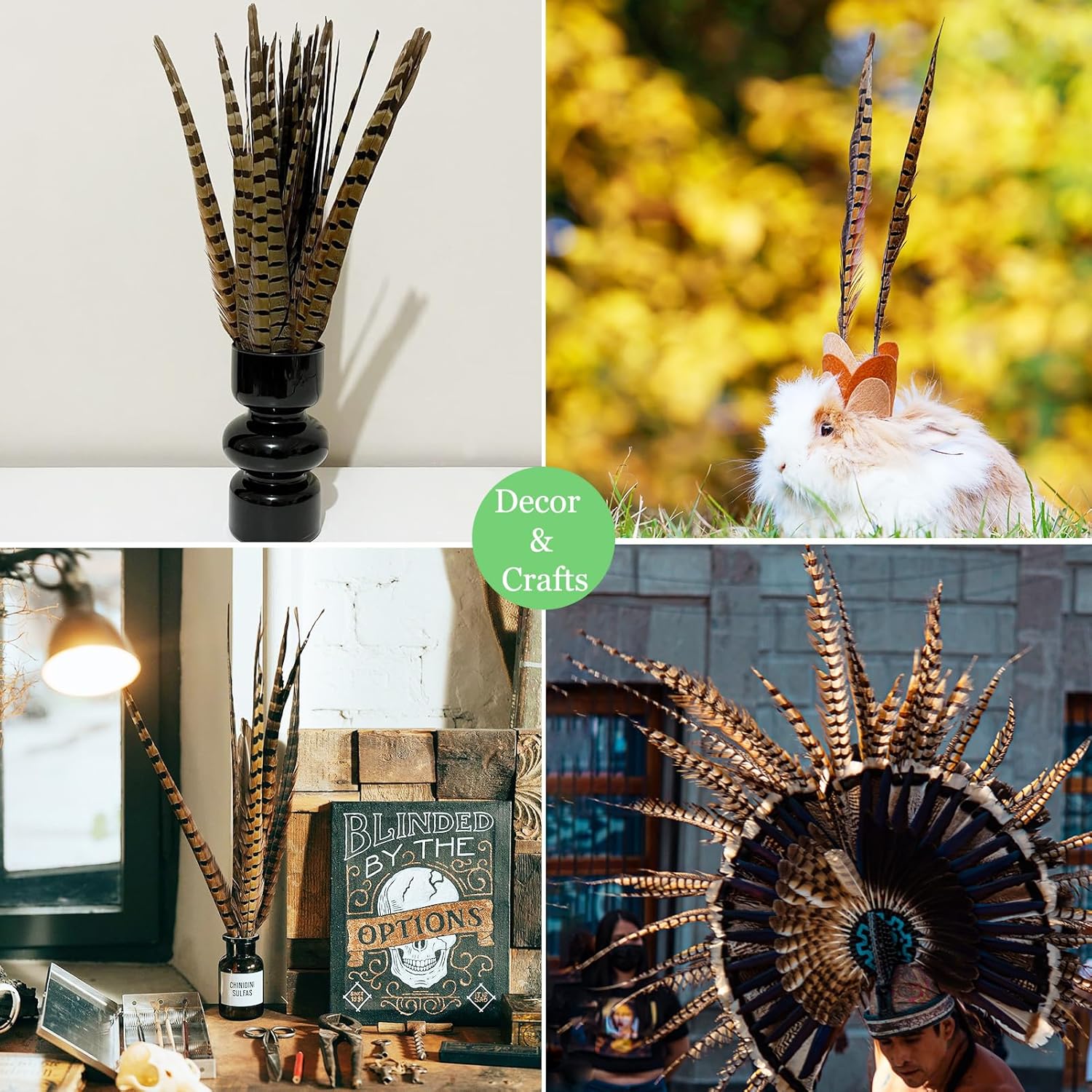 10pcs Natural Pheasant Tail Feathers for Floral Arrangements 16-18 Inch, Decorative Feathers for Vase, Bouquet, Crafts, Hats