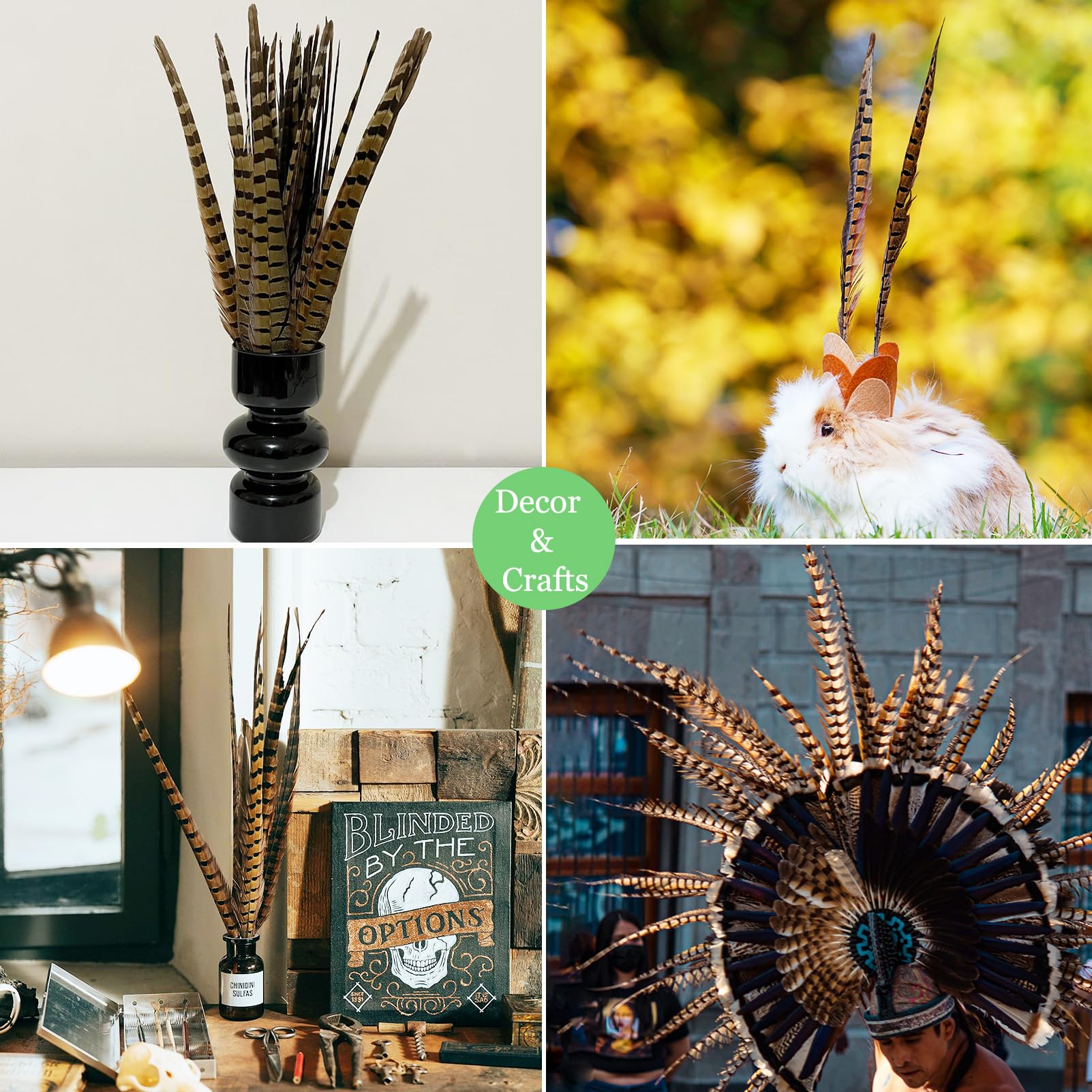 20pcs 22-24" Long Natural Pheasant Feathers Pheasant Tail for Crafts DIY Party Costume Hats Decoration (Missing one Feather)