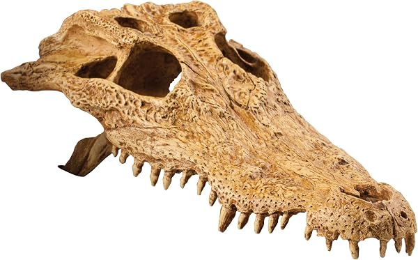 Exo Terra Cueva Dino T-Rex - 2