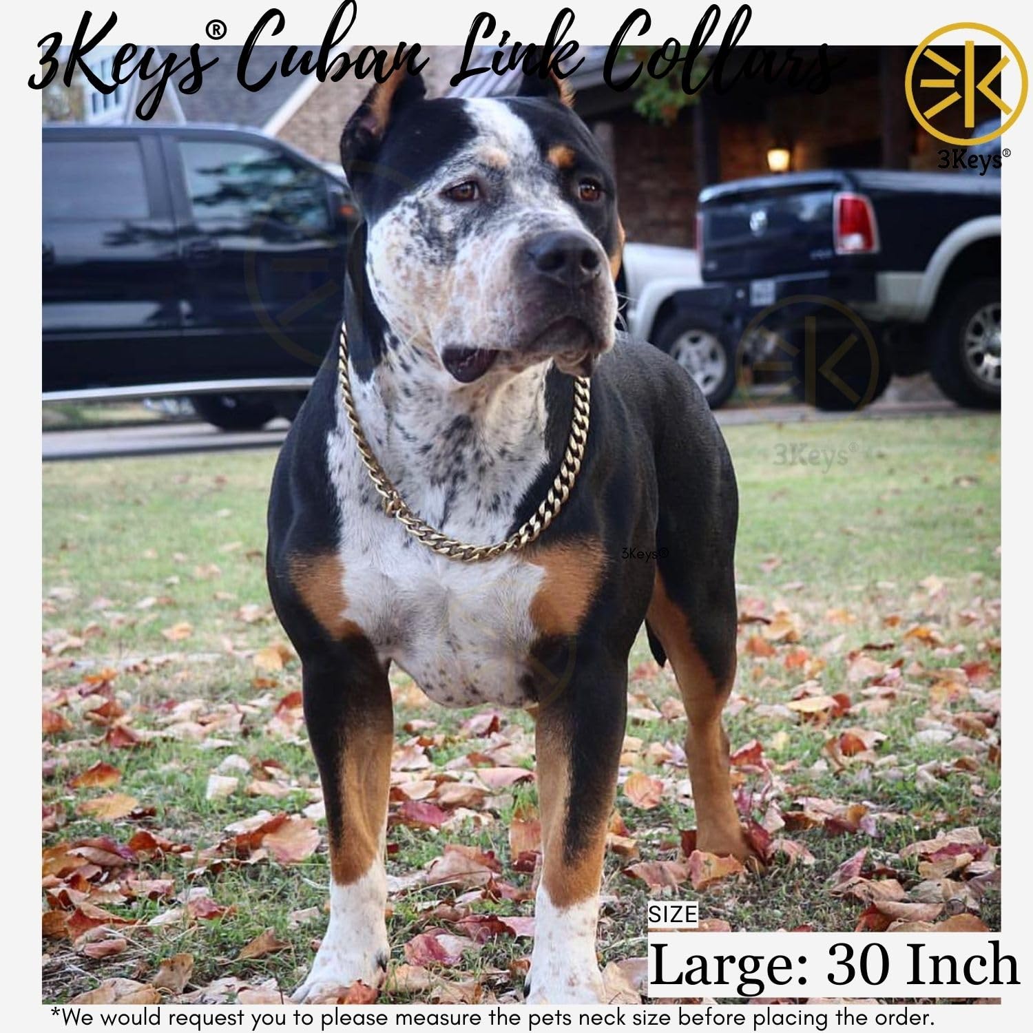 3Keys® Brass Cuban Link Dog Chain Collar – Heavy Duty Training Dog Collar, 30 Inch, 20 mm, Large 1