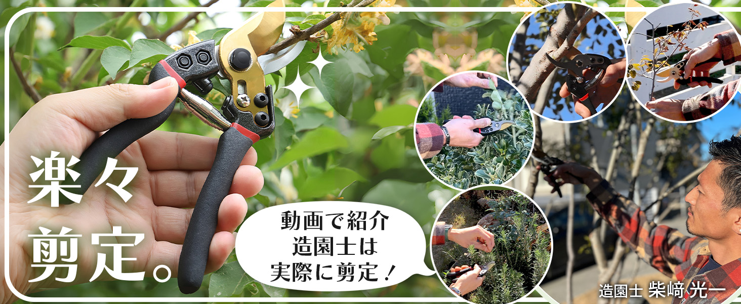 Amazon | 【プロ造園士監修】SOMOTO 剪定バサミ 鋭い切れ味 剪定鋏