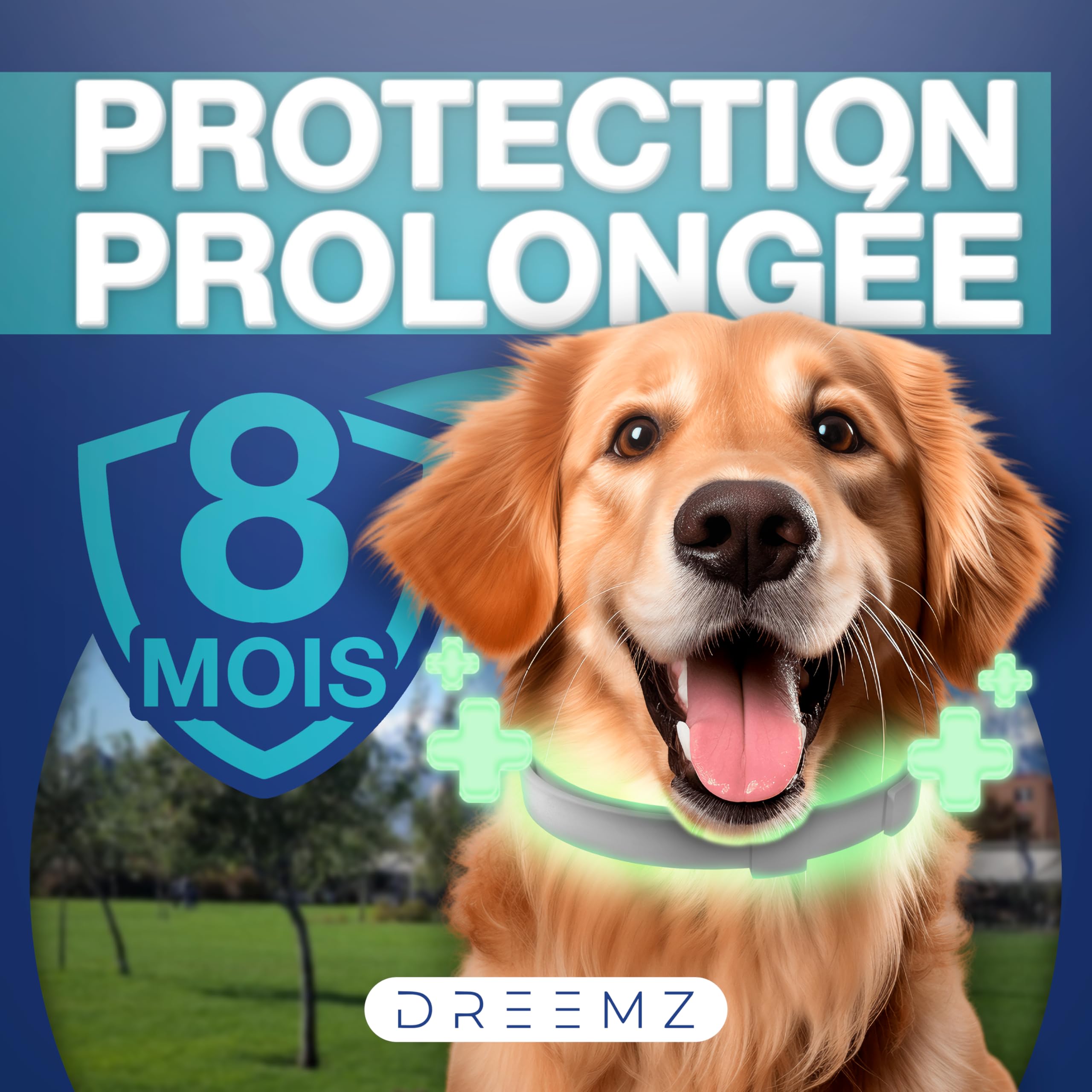 DREEMZ® Collier Anti Puces pour Chien - Collier Anti Puce Chien - Anti Tiques Haute Qualité - 8 Mois de Protection - 63cm Réglable Toutes Tailles - 100% Naturel - Imperméable déperlant (1 unité)