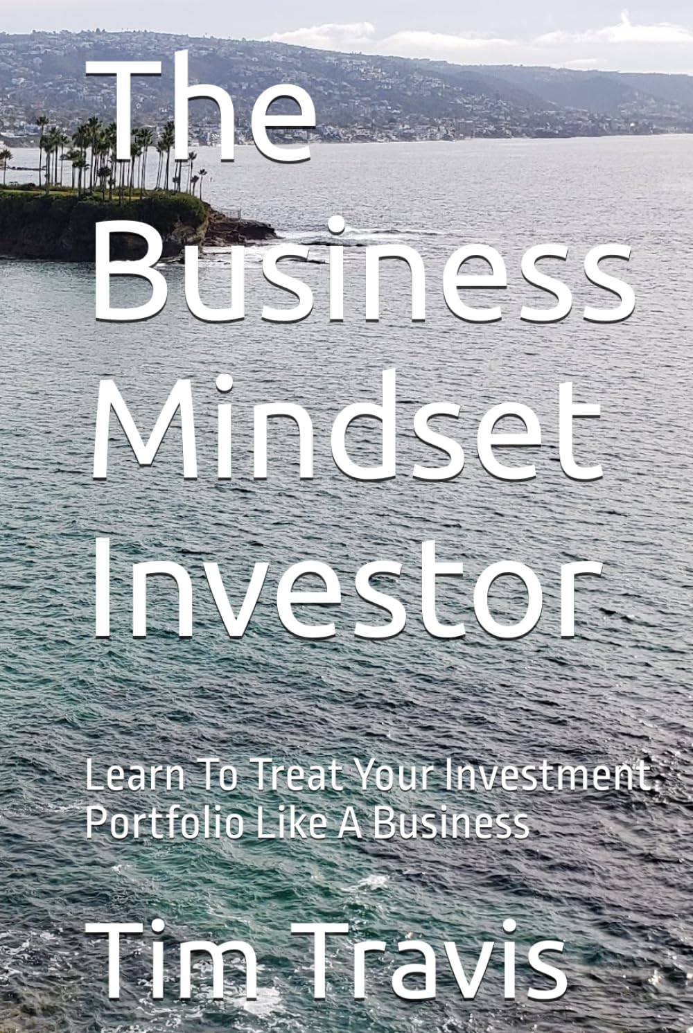 The Business Mindset Investor: Learn To Treat Your Investment Portfolio Like A Business