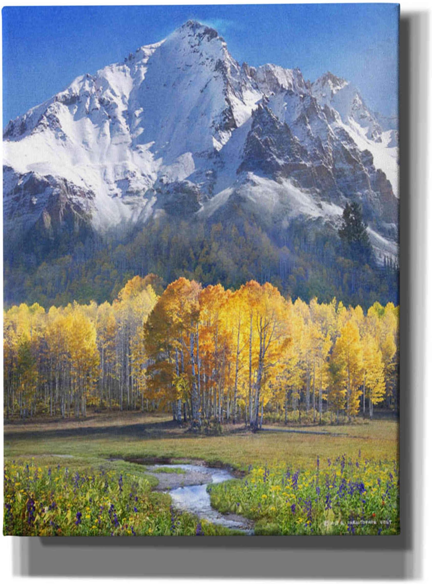 Idyllic Mountain' by Chris Vest, Canvas Wall Art, 12"x16"