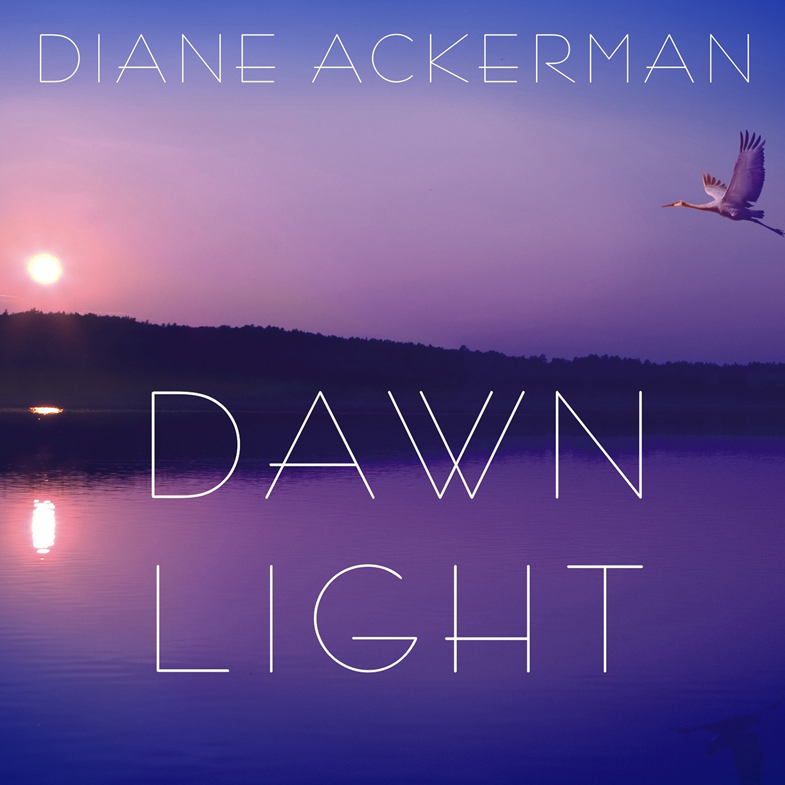 Cover art for Dawn Light