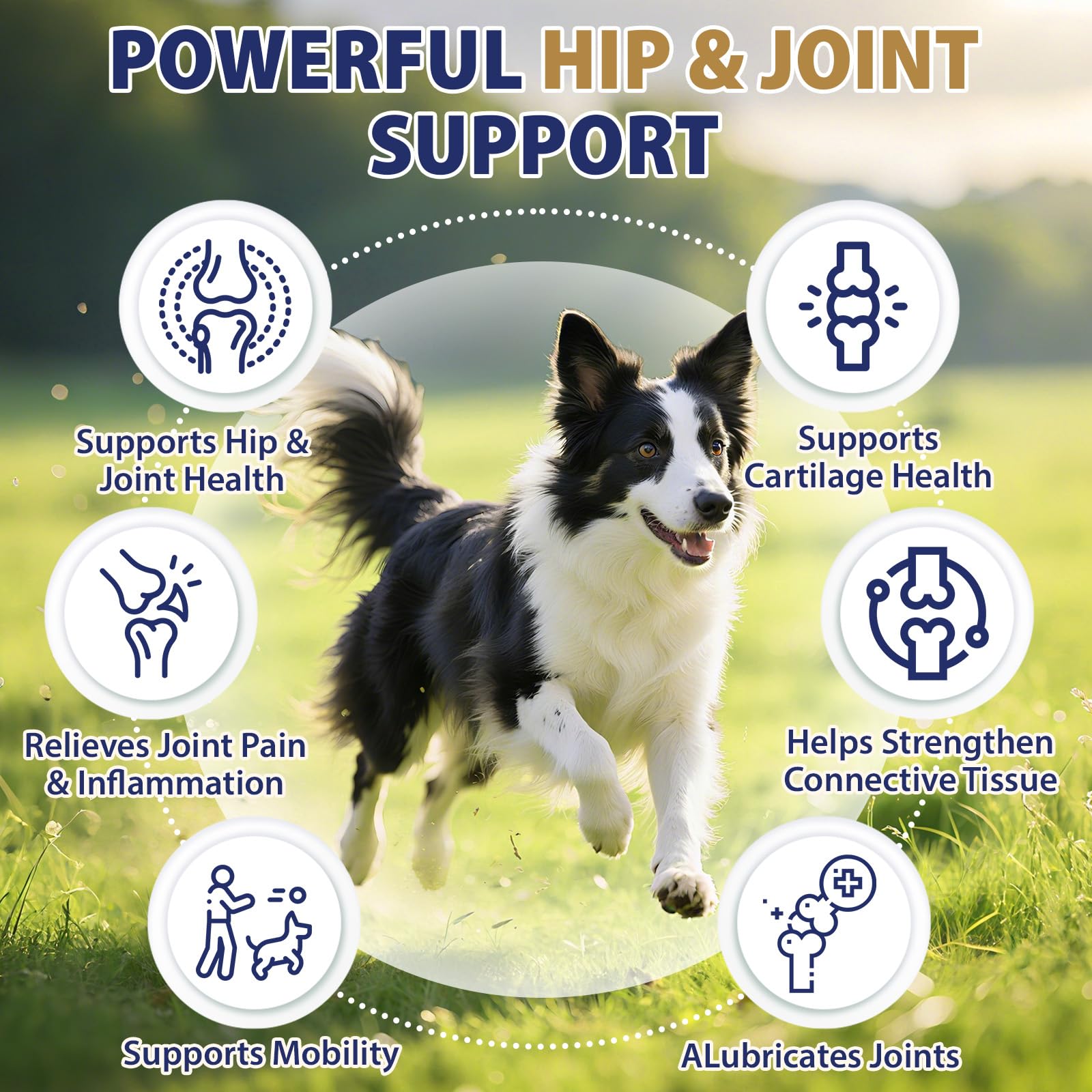 Hip and Joint Supplement for Dogs 200 Dog Calming Chews with Glucosamine, Chondroitin, Msm, Omega3, Melatonin for Senior Dogs Anxiety Pain Relief Anti Inflammatory Small/Medium/Large Dog -Chicken - image 3
