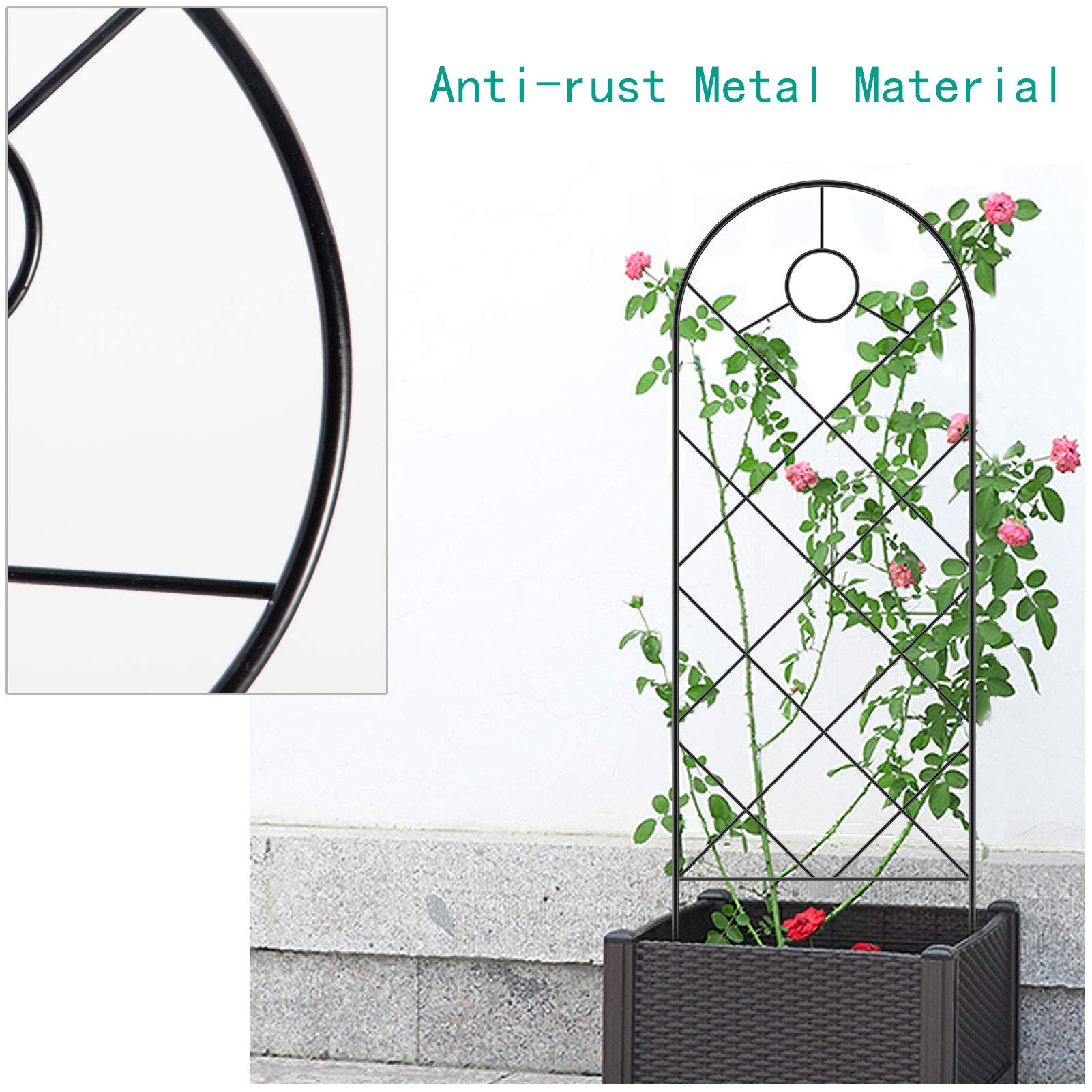Buy 3 Pack Black Iron Garden Trellis for Climbing Plants 23" x 7.7" Rust Free Vine Plant Metal