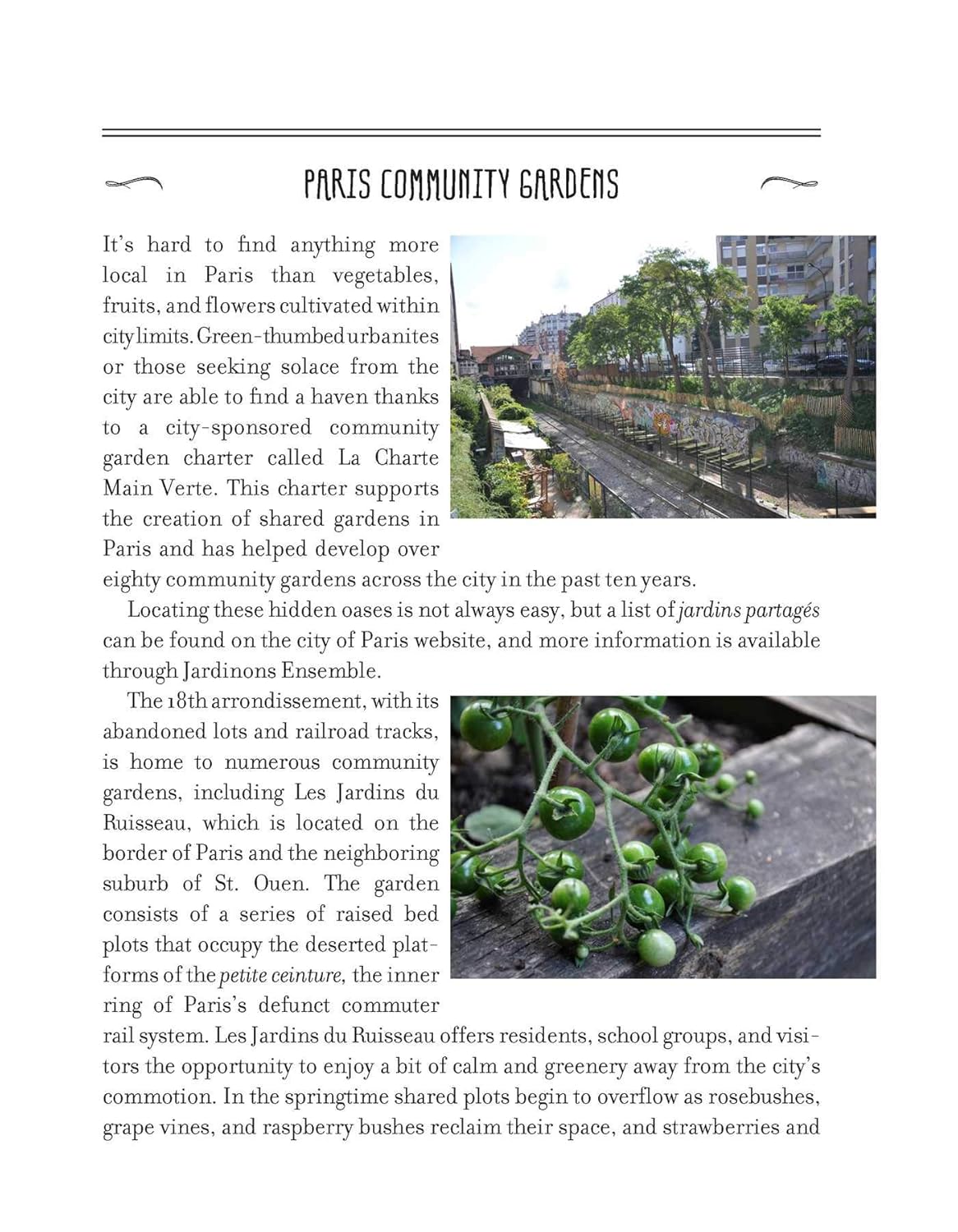 My Paris Market Cookbook: A Seasonal Culinary Guidebook to Paris with More than 70 French Recipes      Paperback – June 25, 2019