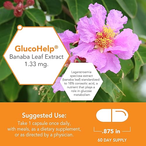 Miniatura 3 de Botanic Choice Extracto de hoja de banaba GlucoHelp - Fomenta el transporte saludable de glucosa para hombres y mujeres (60 cápsulas)