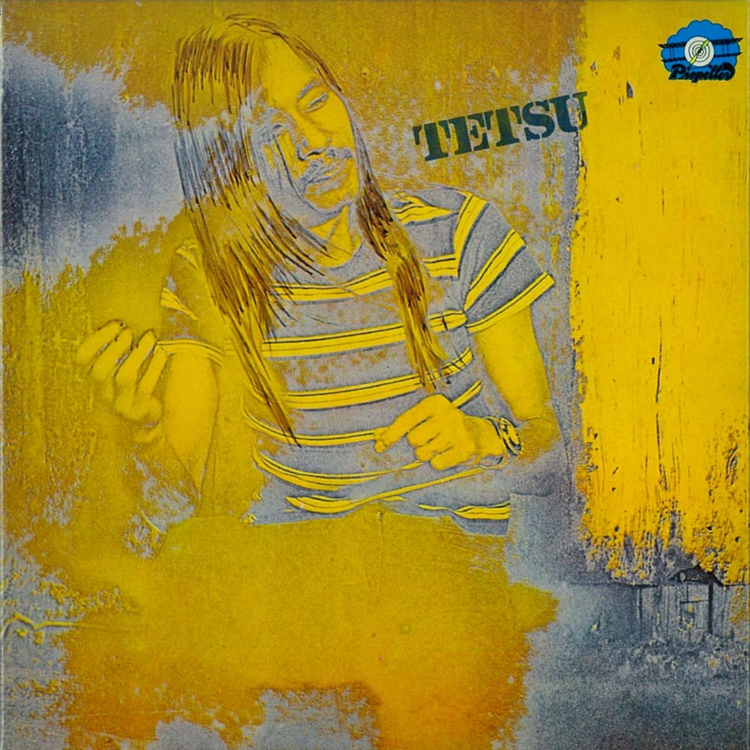 Amazon.co.jp: TETSU [Analog]: ミュージック