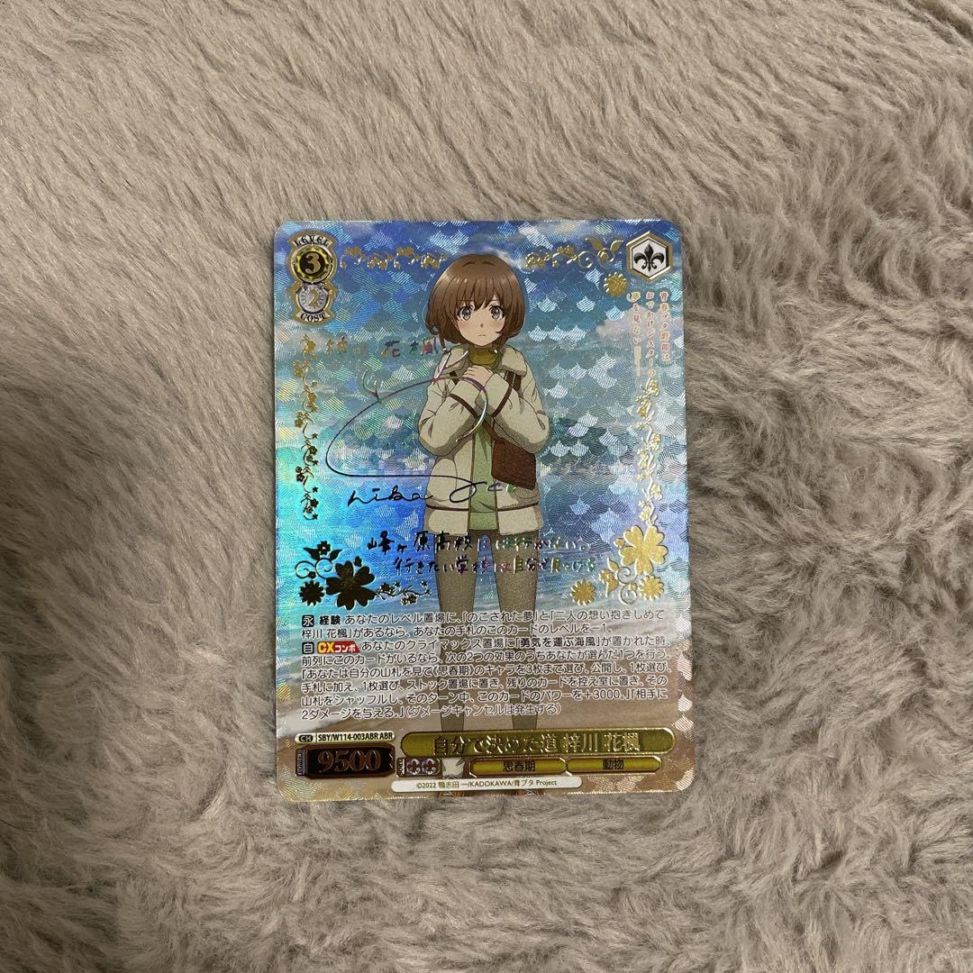 青ブタヴァイスシュヴァルツ梓川かえでABR