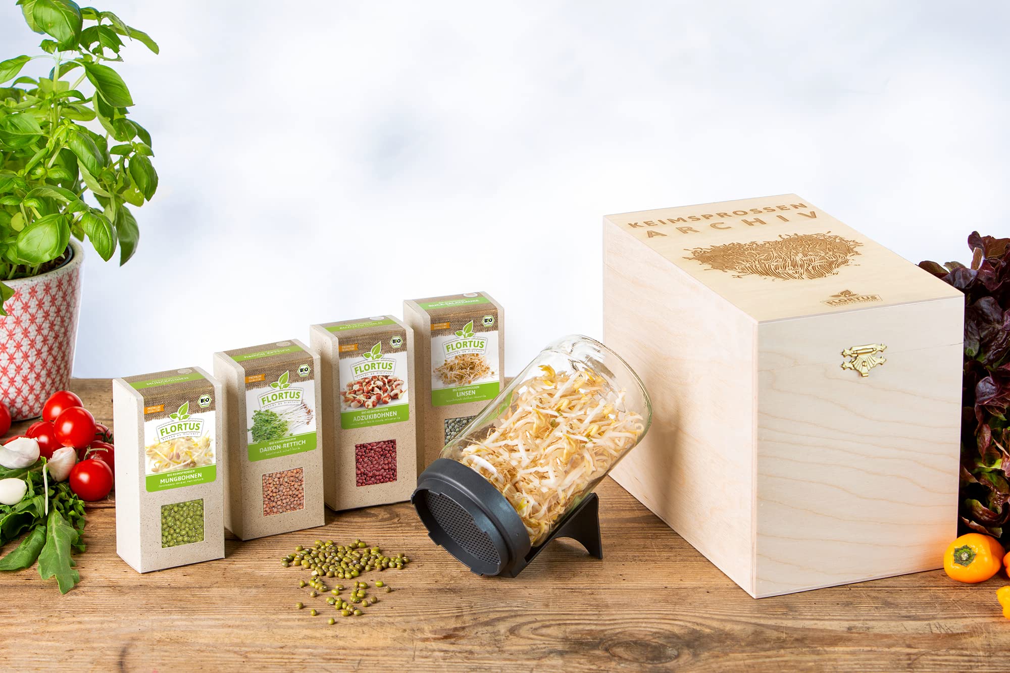 FLORTUS BIO Keimsprossen Archiv Geschenkbox - Asiatisch inkl. 4 Sprossensorten | Mungbohnen, Linsen, Adzukibohnen & Daikon Rettich | Geschenkset mit Sprossenglas | Keimsprossenbox Holzbox mit Deckel