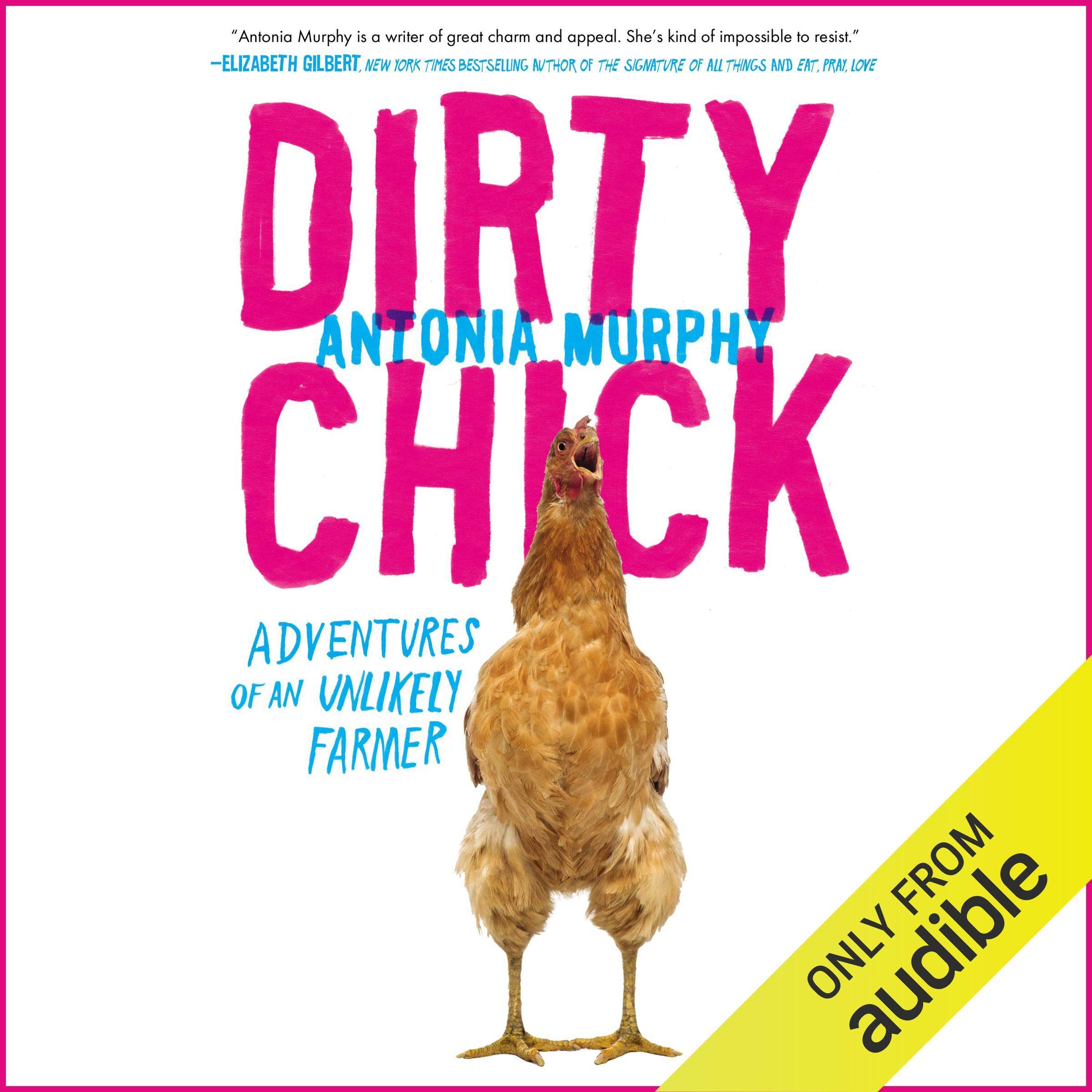 Cover art for Dirty Chick