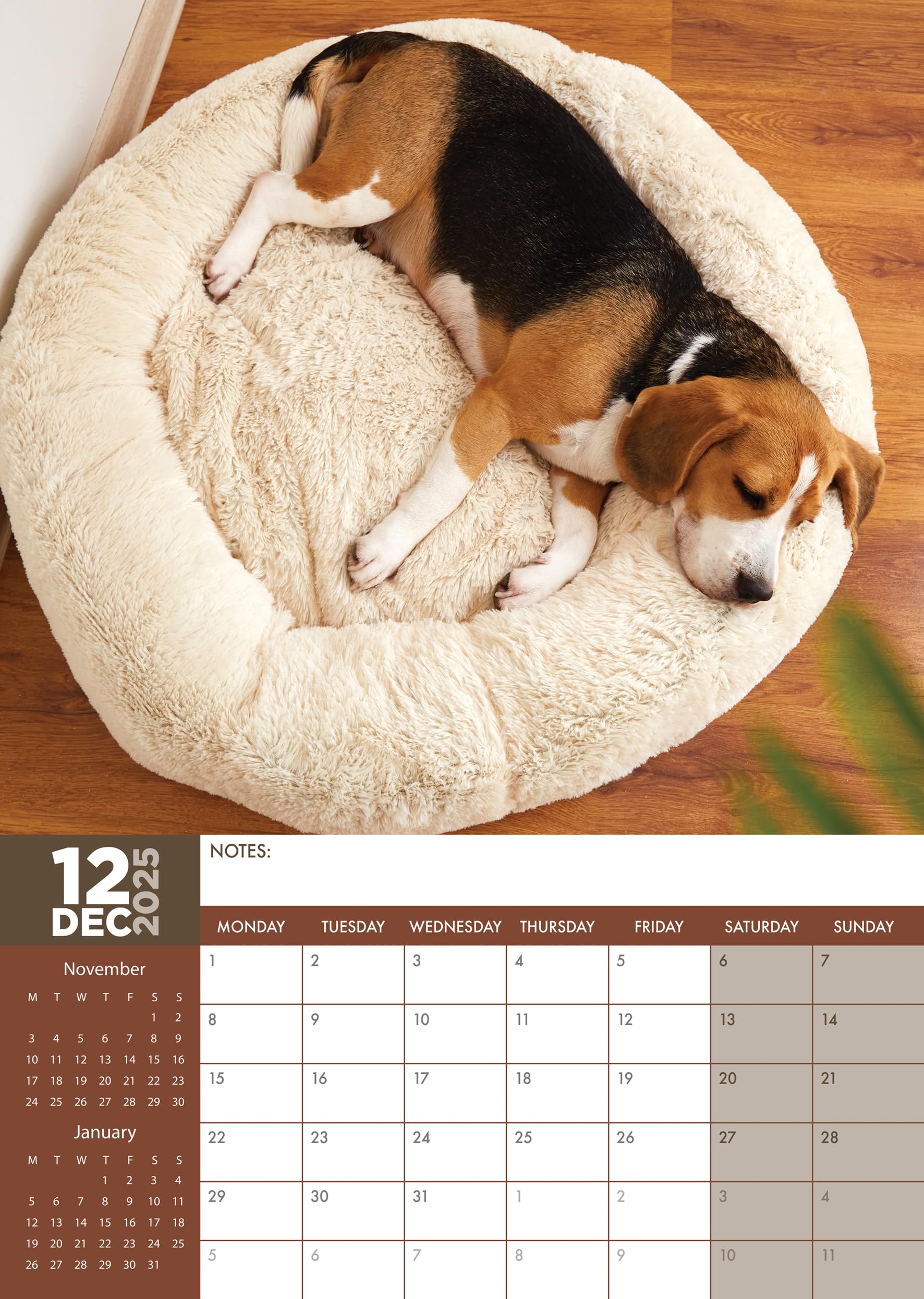 Beagle 2025 - A3 Size Wirobound Calendar - Image 4