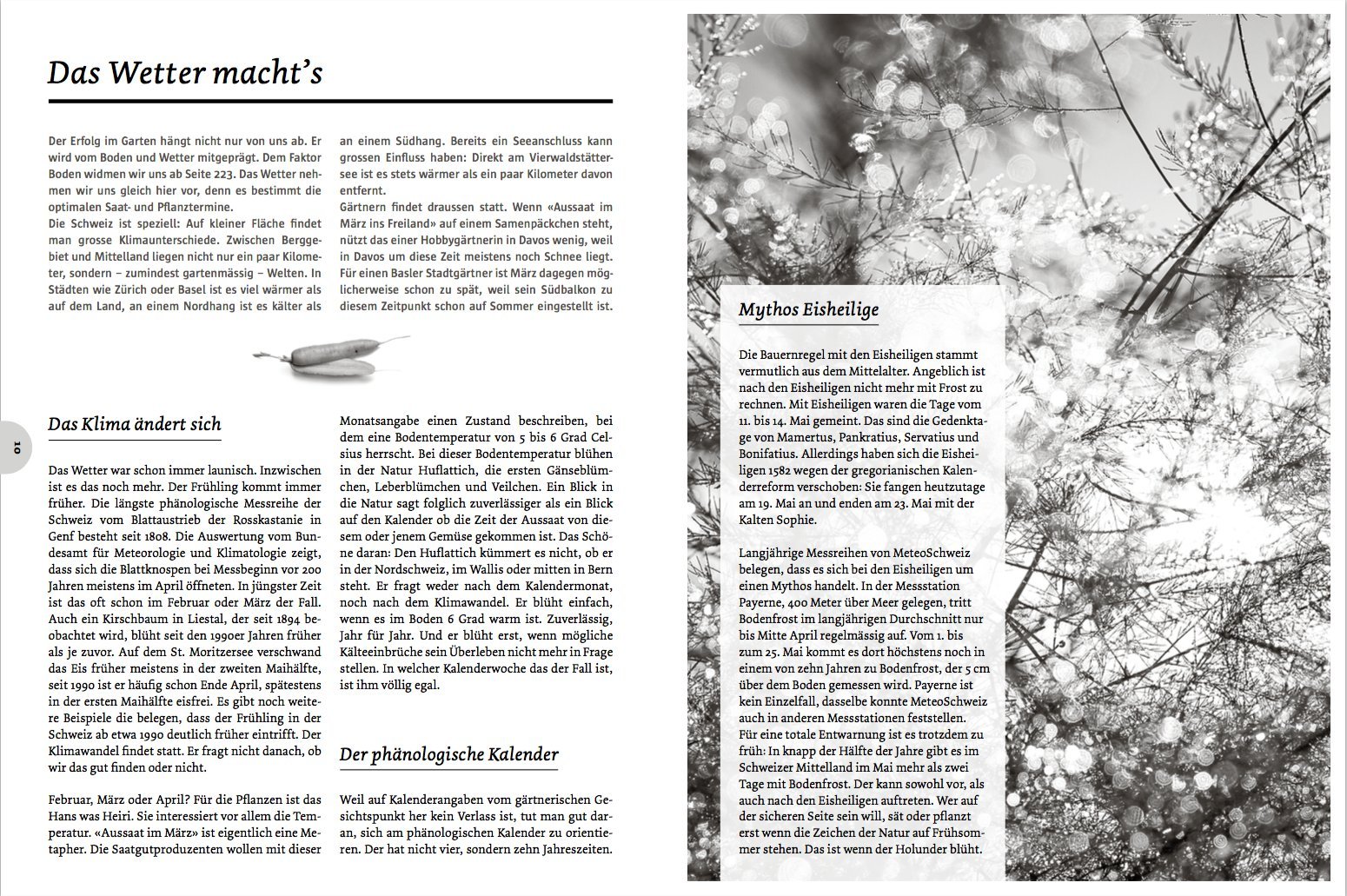 Spriessbürger: Handbuch für den Anbau von Gemüse und Salat in der Schweiz