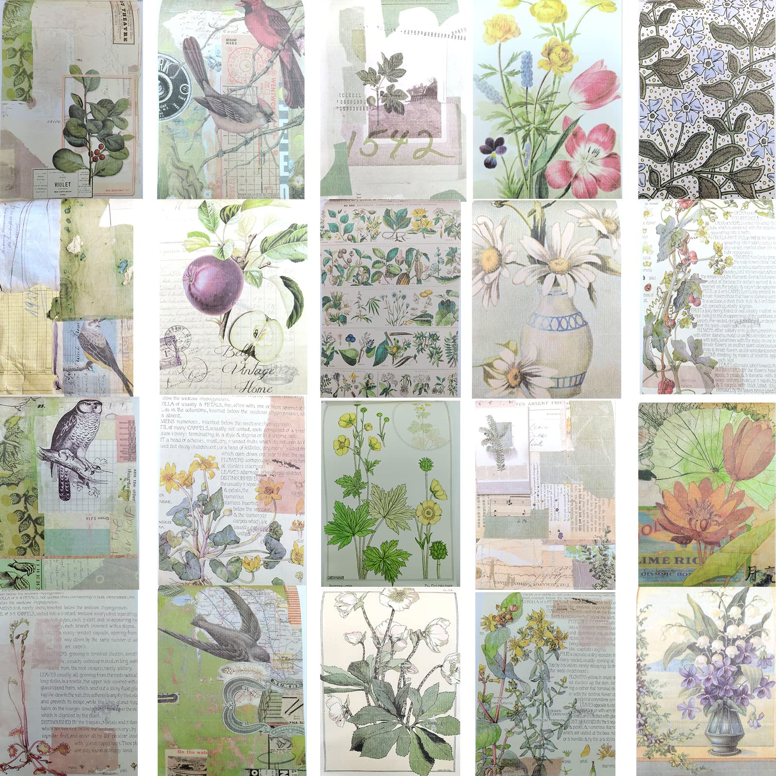 Auguro Vintage Scrapbooking Supplies Ephemera naklejka książka do dziennika z 439 naklejkami i 20 papierami do scrapbookingu, na butelki z wodą, laptopy, rękodzieło, dziennik, artykuły pa dla
