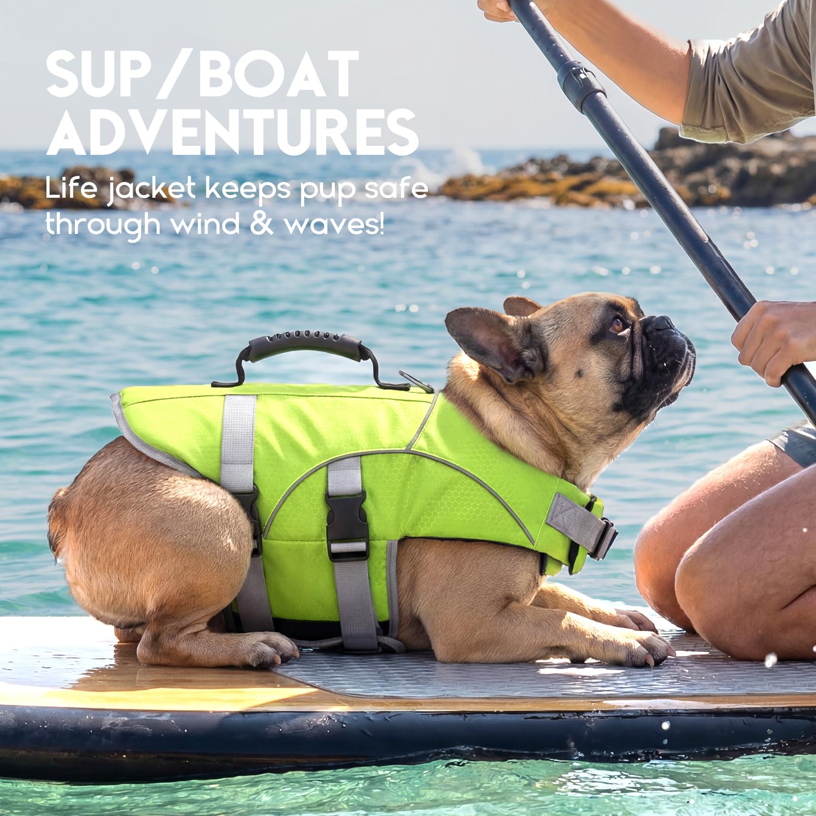 ASENKU Gilet de Sauvetage pour Chien, Haute Flottabilité Anti-Noyade, Poignée de Relevage, Bandes Réfléchissantes, Harnais Antidérapant pour Nage, Plage, Piscine, Bateau