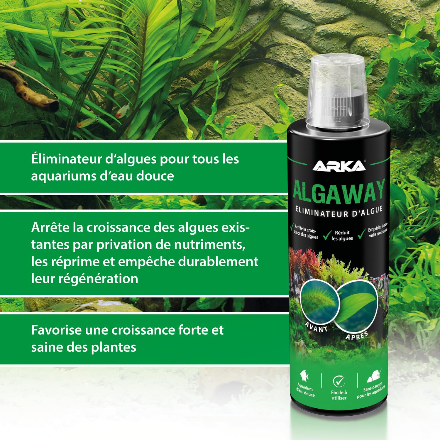 Éliminateur d’algues Aquarium 473 ML – ARKA Algaway – élimine algues filamenteuses, Vertes & encroutantes – sans cuivre & Compatible Plantes – Eau cristalline & équilibre pour Aquariums d’Eau Douce