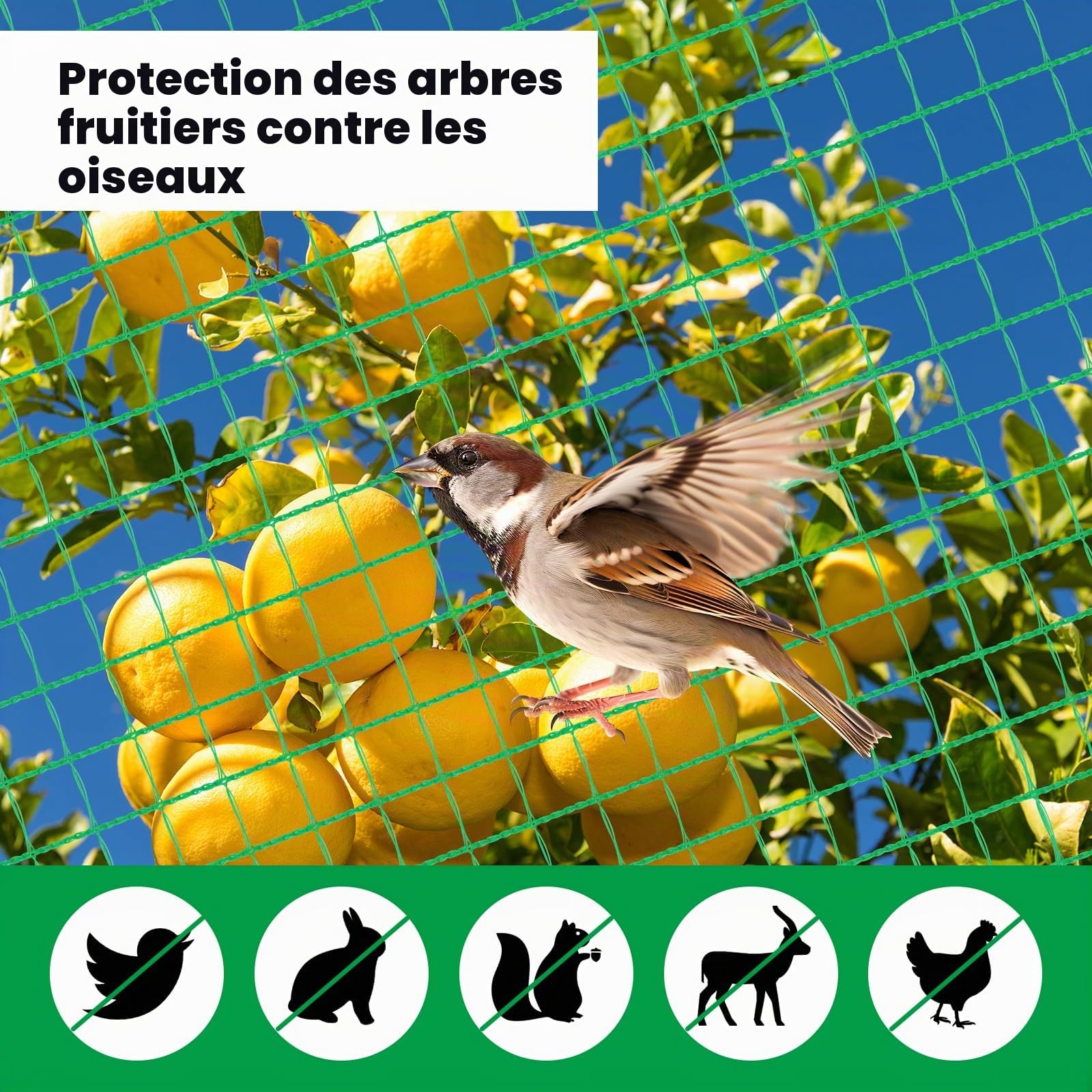 WOLTU Filet de Volière 20x1,2m, Filet Anti-Oiseaux Filet de Protection Jardin, Clôture pour Poules, avec Cordes Piquets de Terre Attaches-Câbles, 53 g/m² PE, Vert