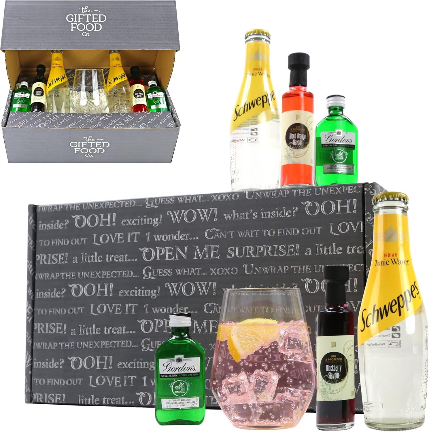 Gin Lover's Gift Hamper Gordon's Dry Gin Gift Set with Mini Bottles