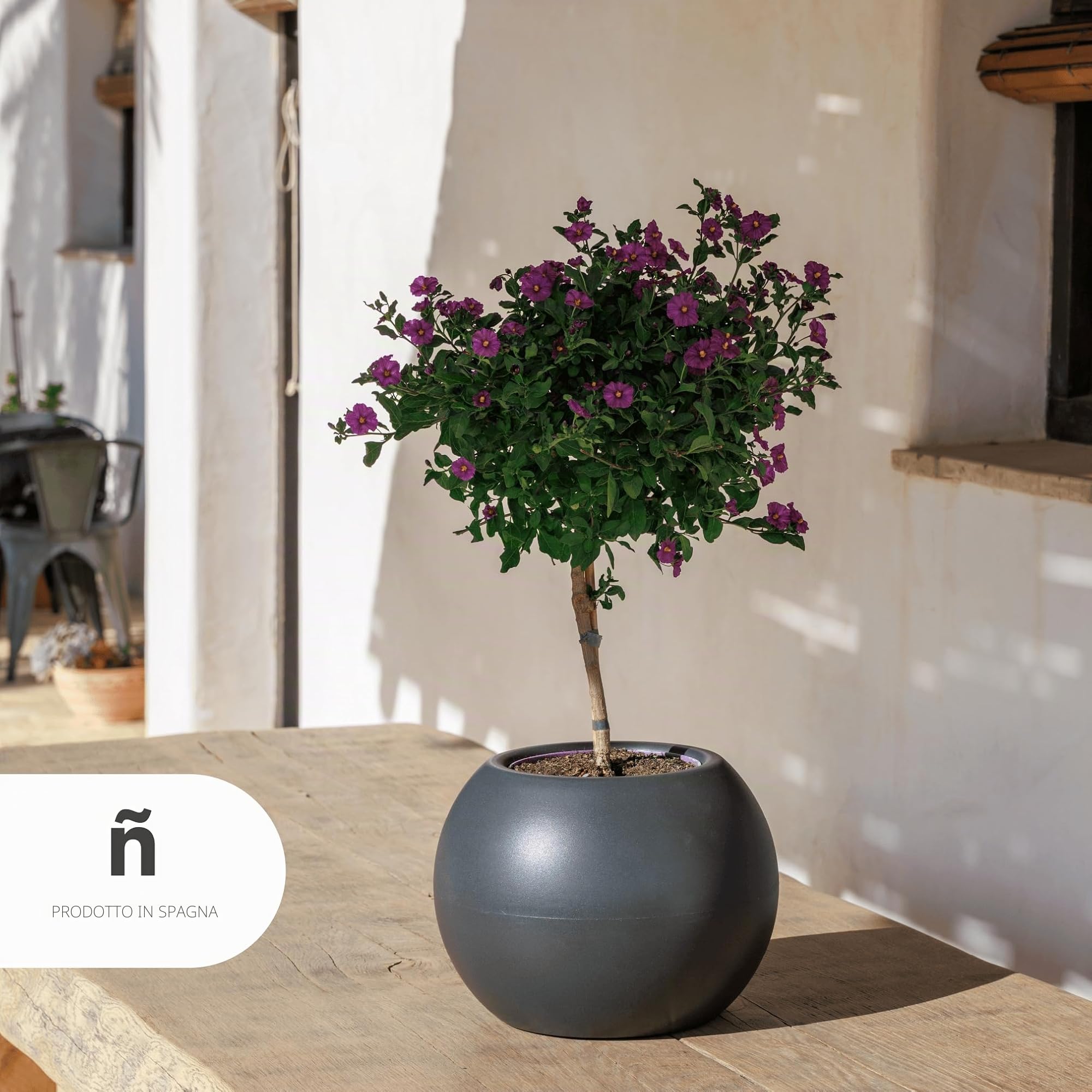 newgarden - Vaso rotondo per piante e fiori, Dalia molto resistente all'esterno, dimensioni disponibili. Include la riserva di drenaggio dell'acqua. Realizzato in polietilene in Spagna